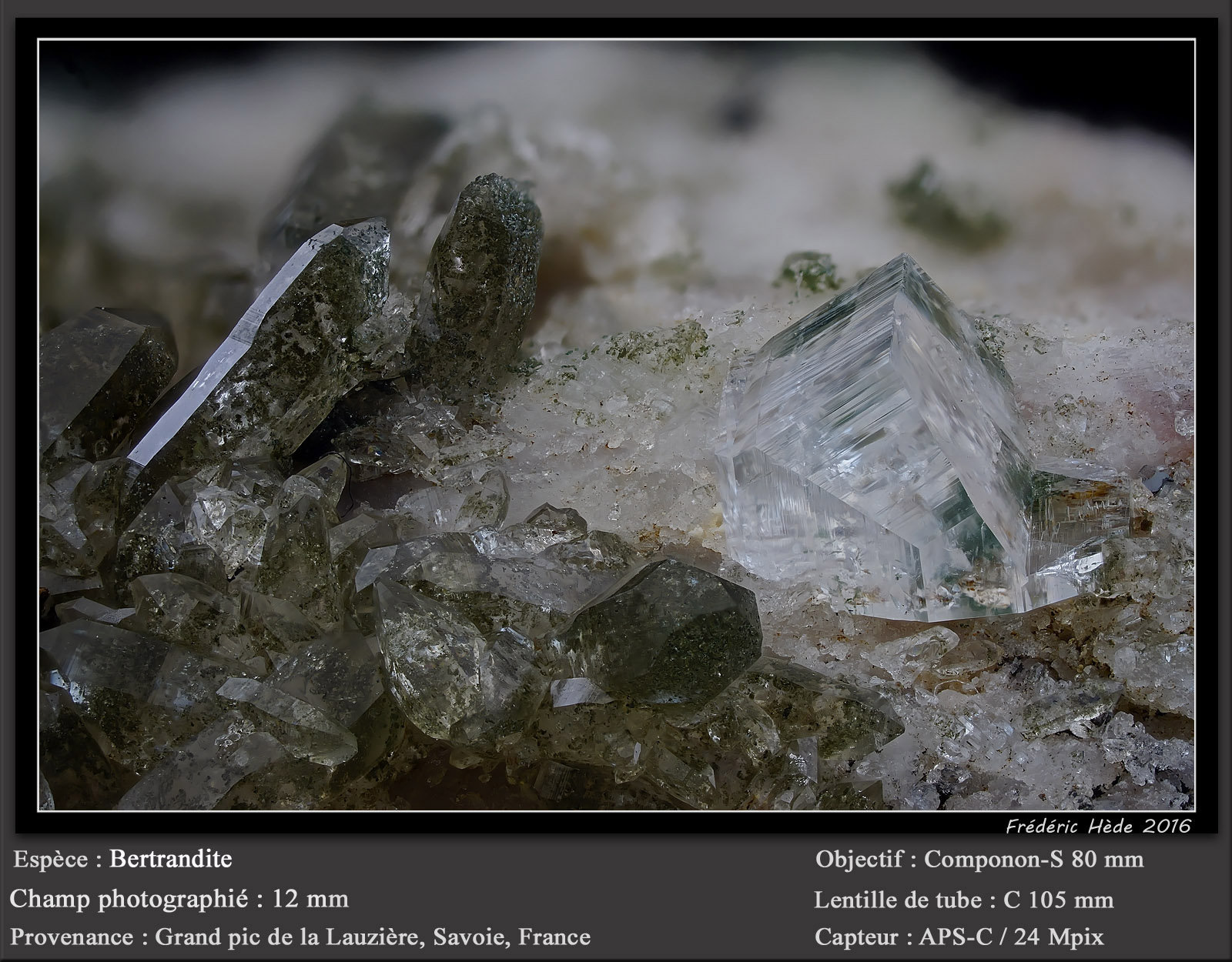 Bertrandite
fov 12 mm
(Autor: ploum)