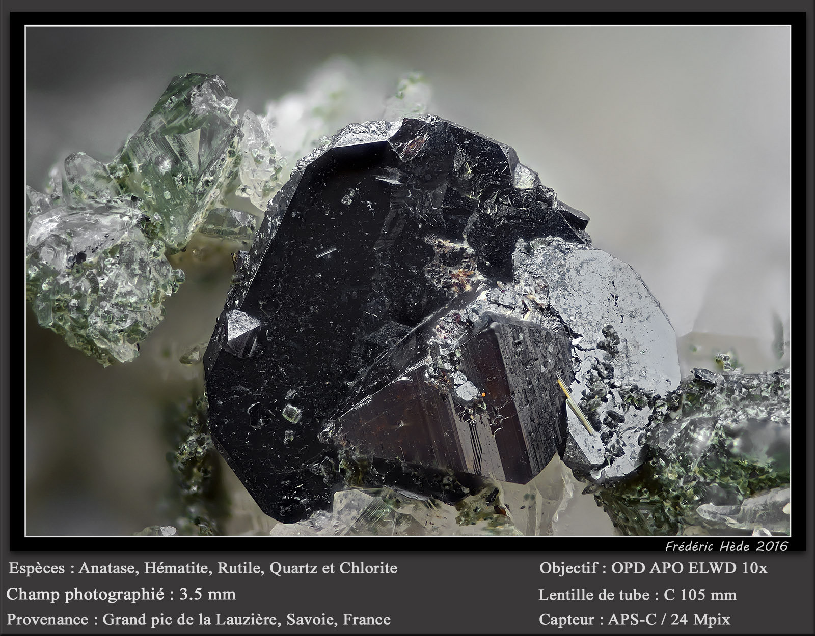 Anatase on Hematite with Rutile, Quartz and Chlorite
fov 3.5 mm
(Autor: ploum)
