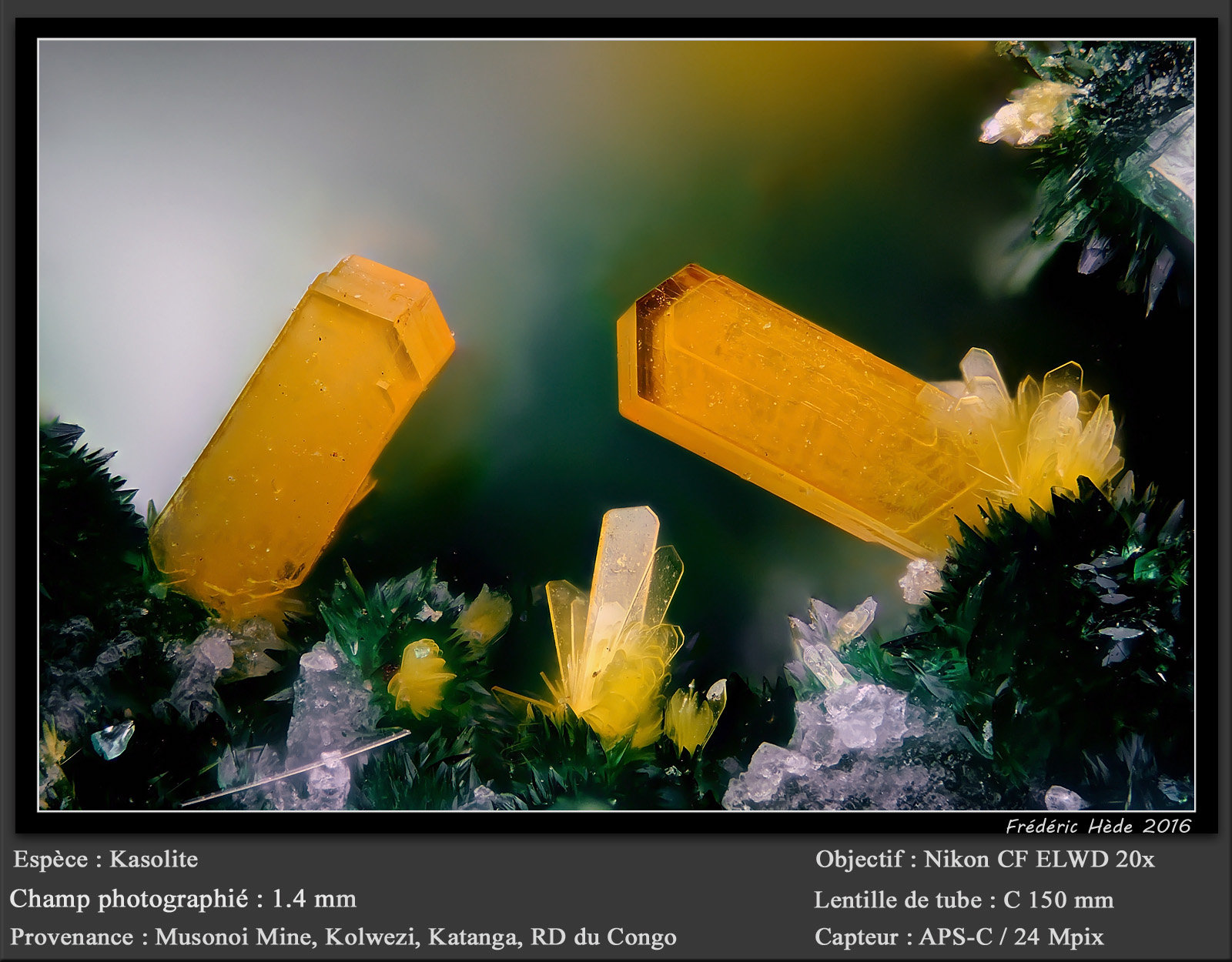 Kasolite
fov 1.4 mm
(Autor: ploum)
