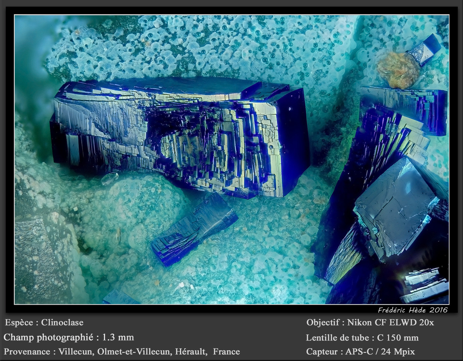 Clinoclase
fov 1.3 mm
(Autor: ploum)