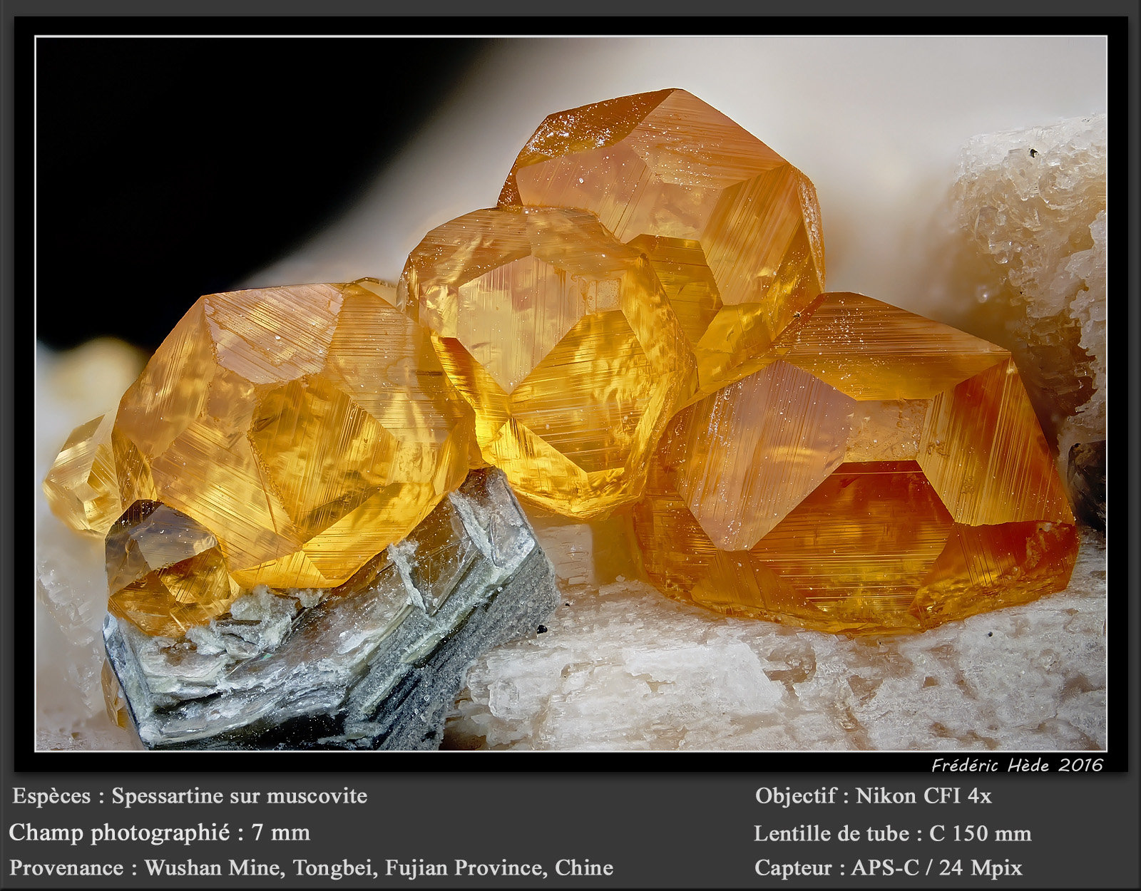 Spessartine
fov 7 mm
(Autor: ploum)