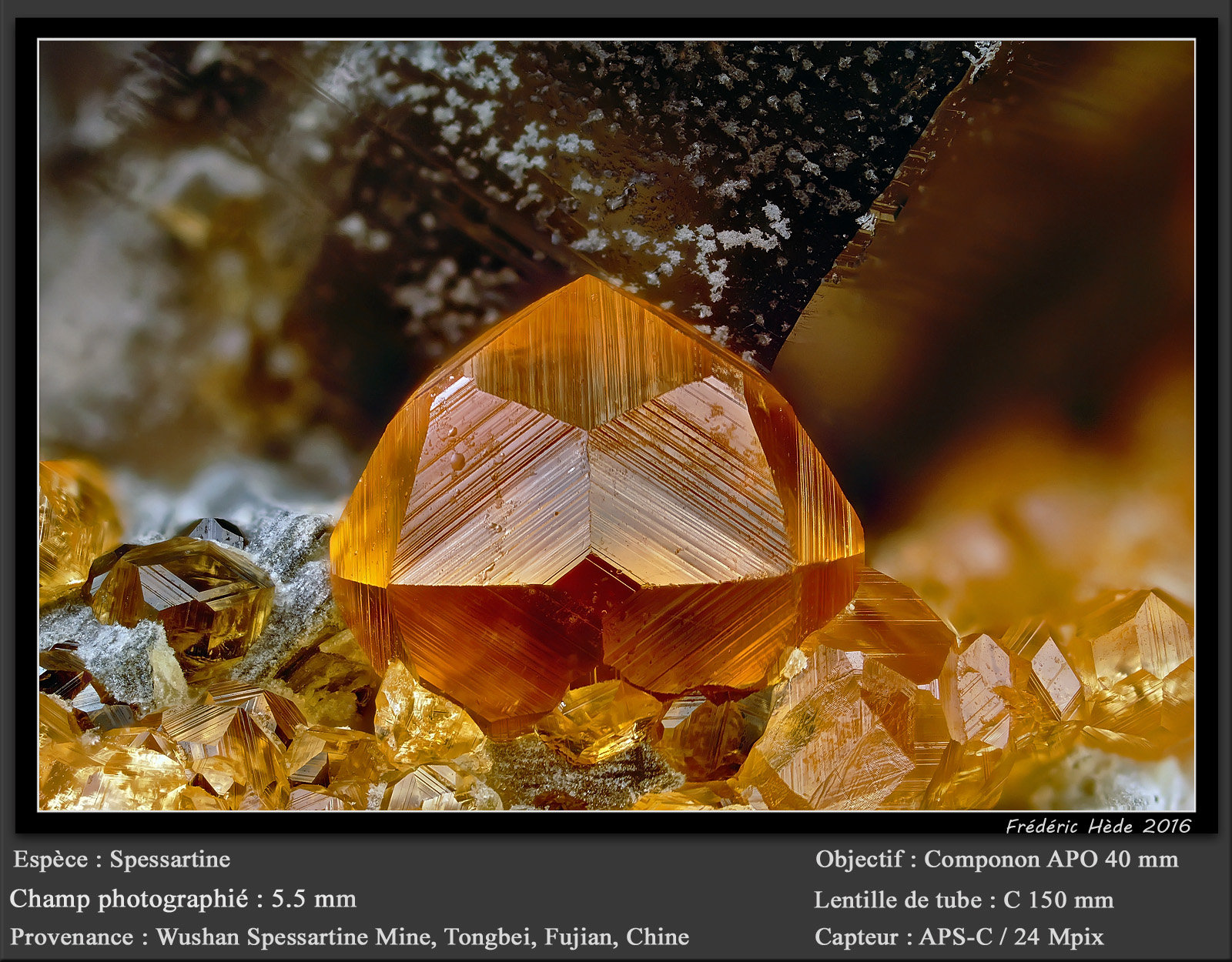 Spessartine
fov 5.5 mm
(Autor: ploum)