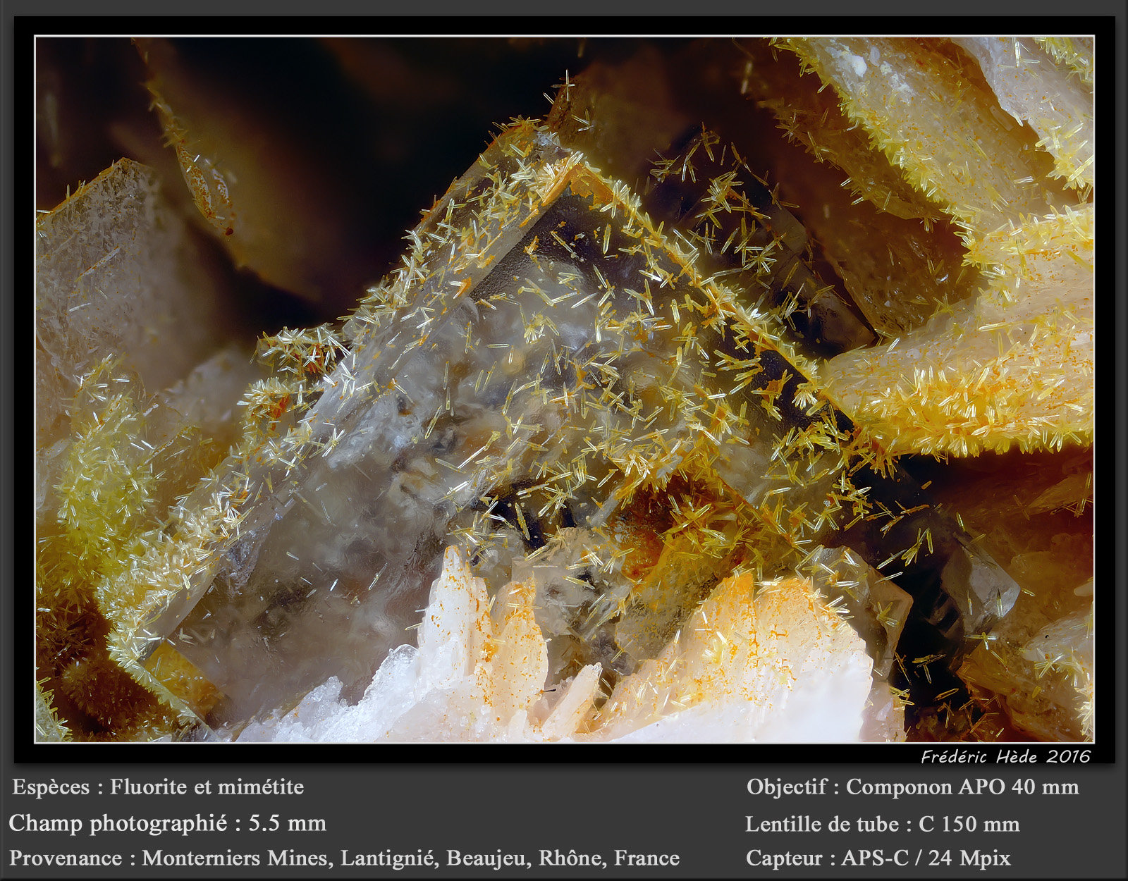 Fluorite and Mimetite
fov 5.5 mm
(Autor: ploum)