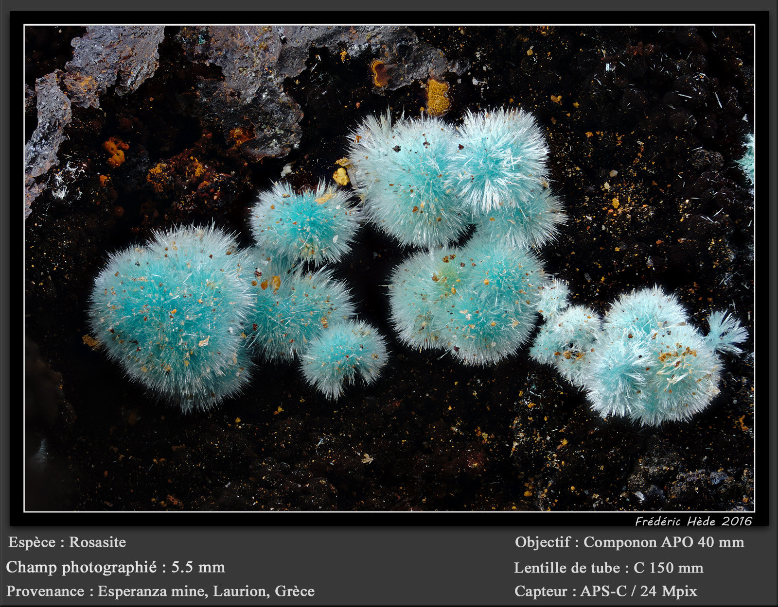 Rosasite
fov 5.5 mm
(Autor: ploum)