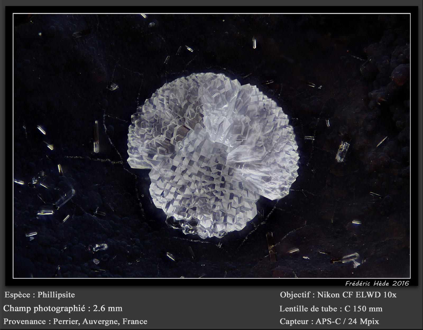 Phillipsite
fov 2.6 mm
(Autor: ploum)