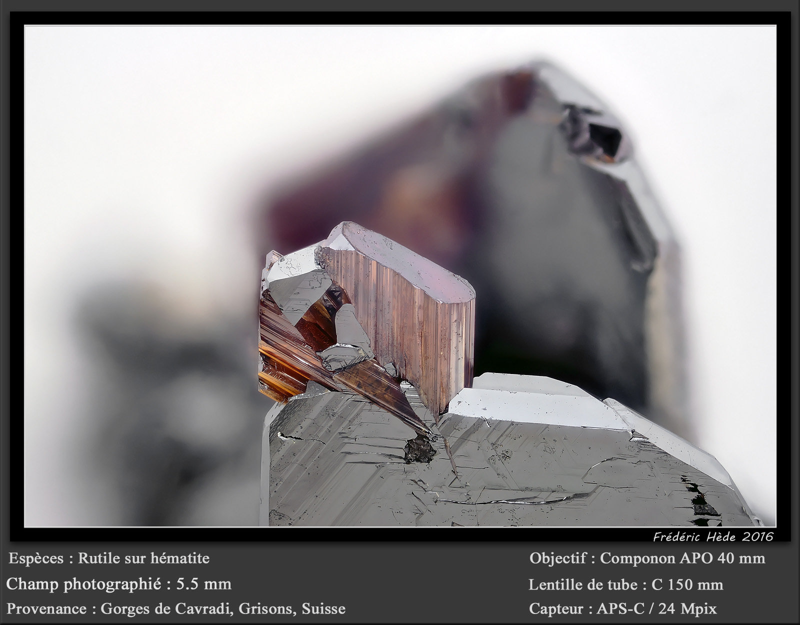 Rutile on Hematite
fov 5.5 mm
(Autor: ploum)