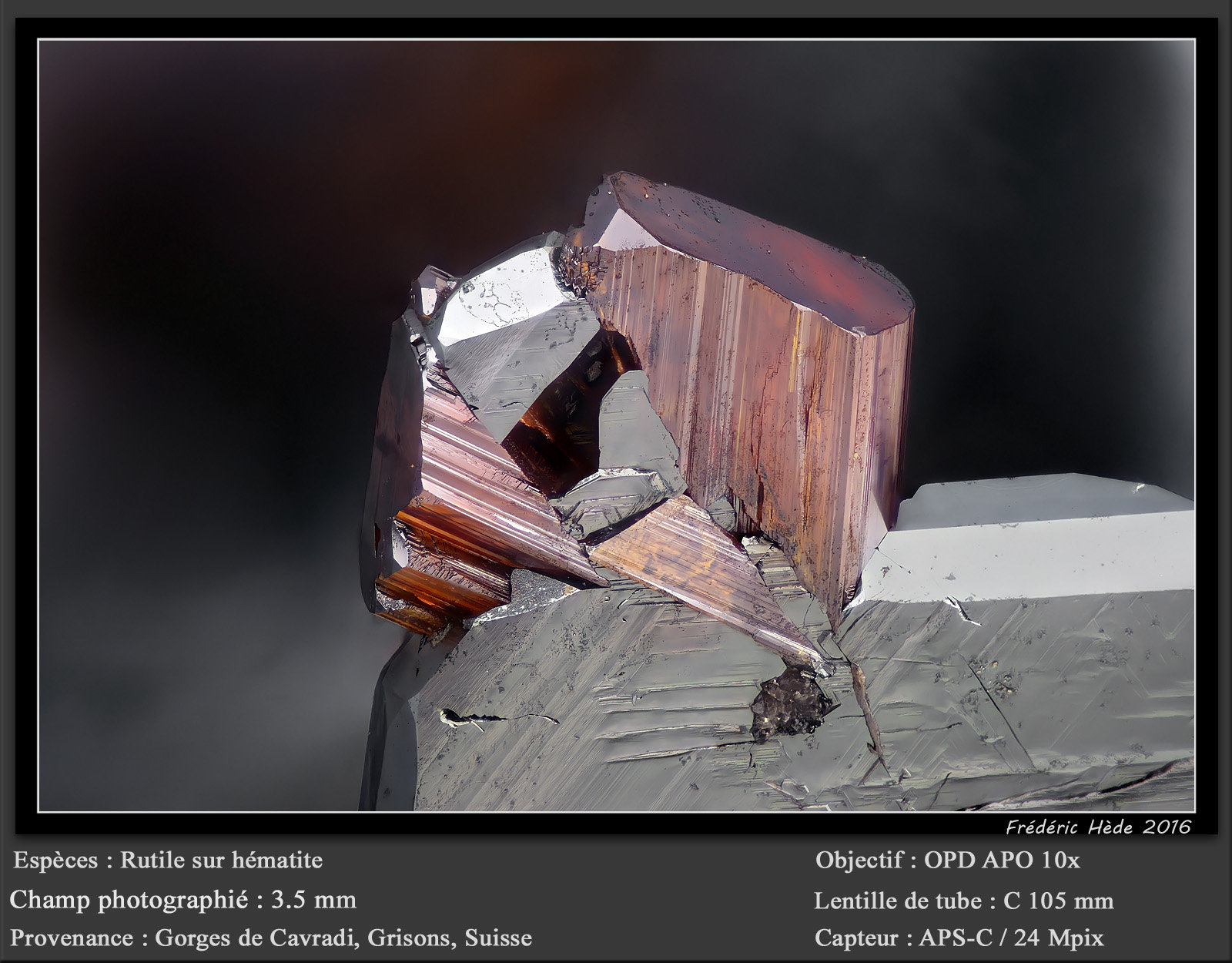 Rutile on Hematite
fov 3.5 mm
(Autor: ploum)