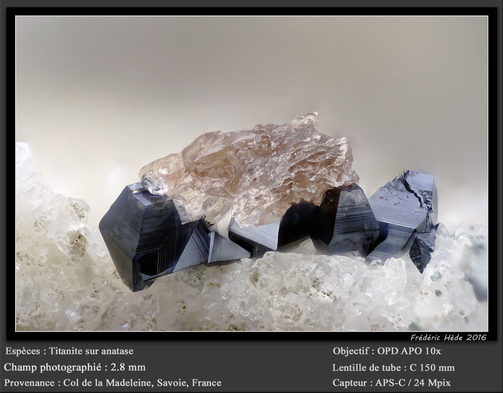Titanite on Anatase
fov 3 mm
(Autor: ploum)