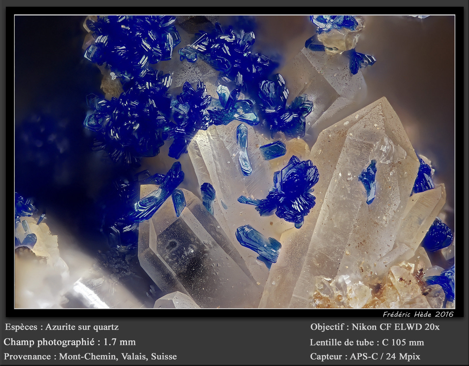 Azurite
fov 1.7 mm
(Autor: ploum)