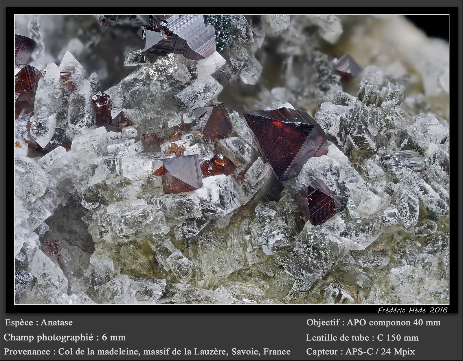 Anatase
fov 6 mm
(Autor: ploum)