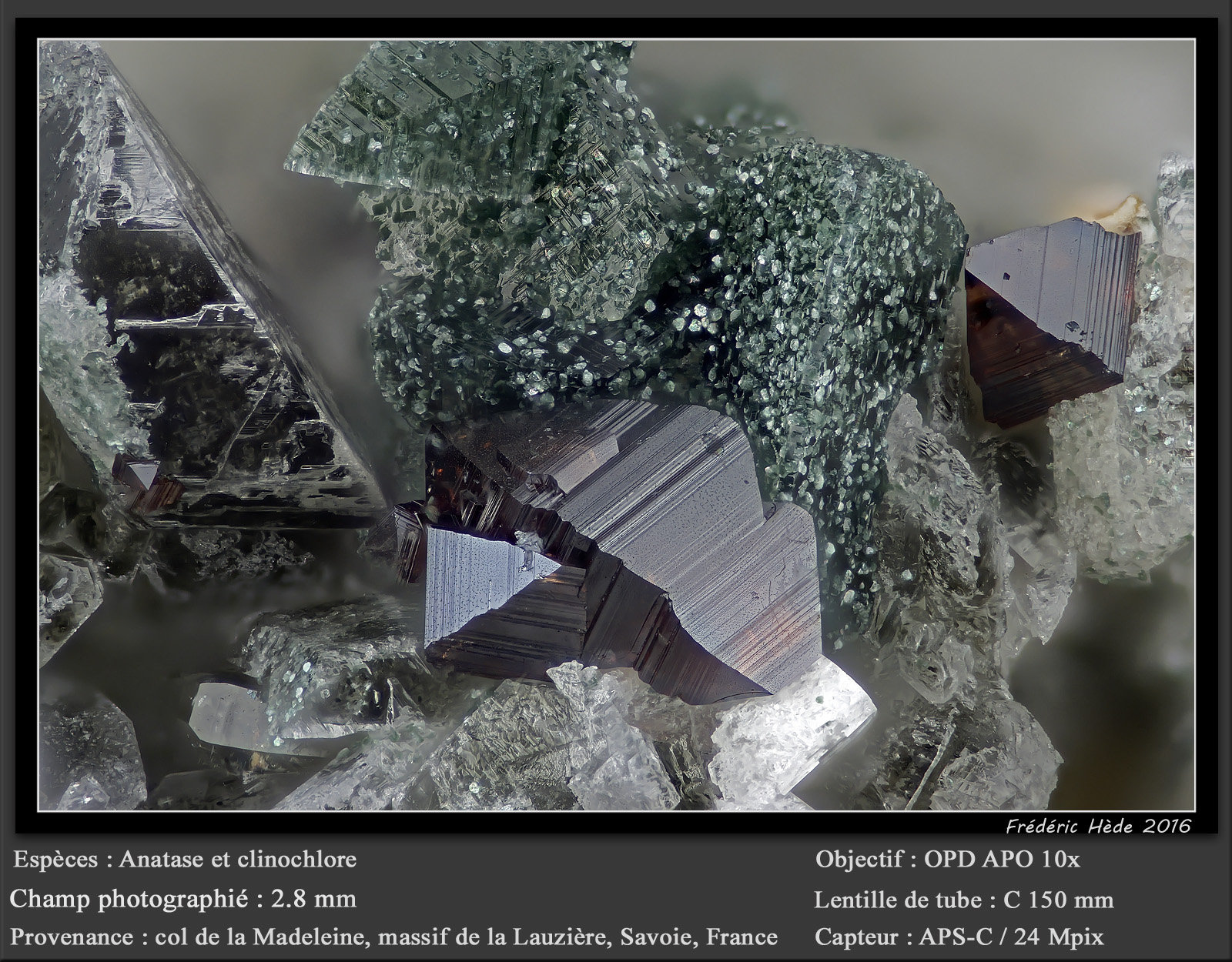 Anatase, Clinochlore, Bertrandite
fov 2.8 mm
(Autor: ploum)