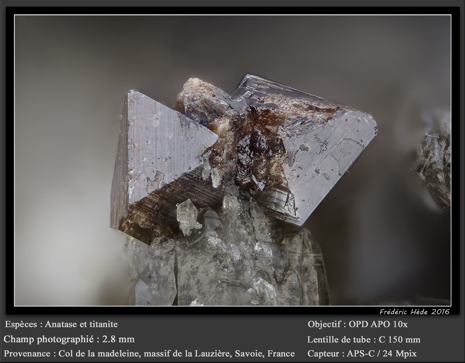 Anatase and Titanite
fov 2.8 mm
(Autor: ploum)