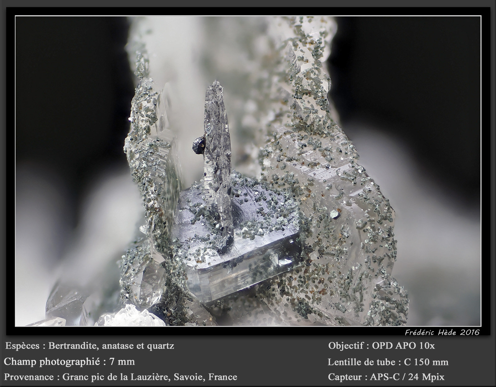 Bertrandite
fov 7 mm
(Autor: ploum)