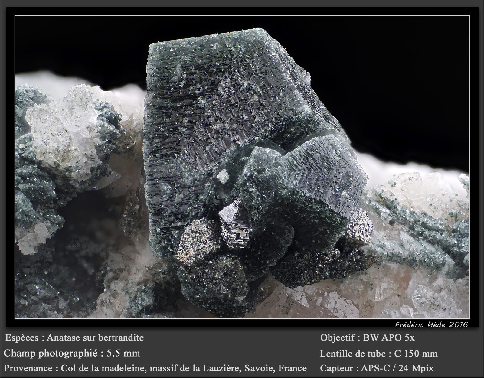 Anatase on Bertrandite
fov 5.5 mm
(Autor: ploum)