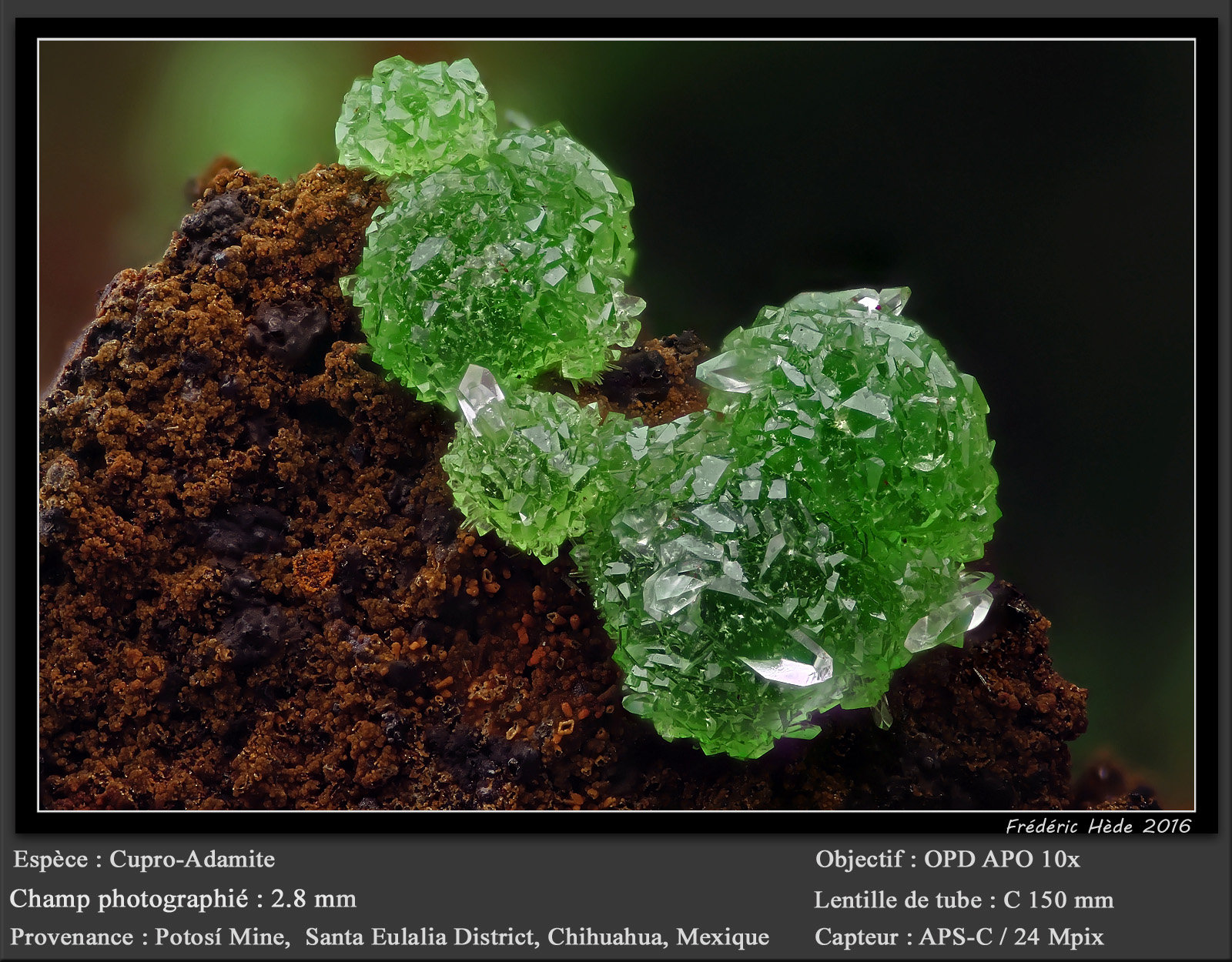 Adamite
fov 2.8 mm
(Autor: ploum)