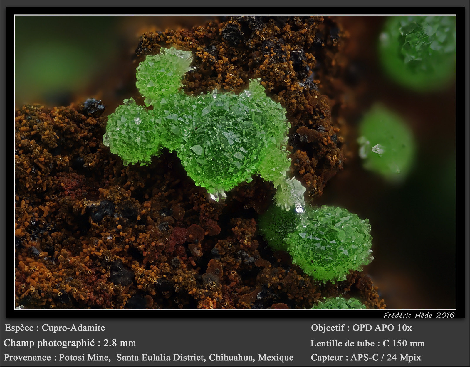 Adamite
fov 2.8 mm
(Autor: ploum)
