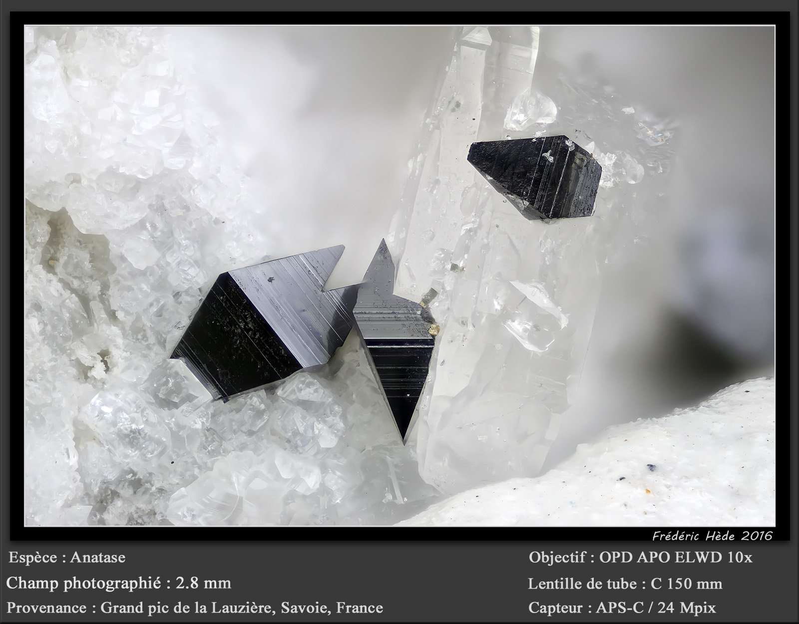 Anatase
fov 2.8 mm
(Autor: ploum)