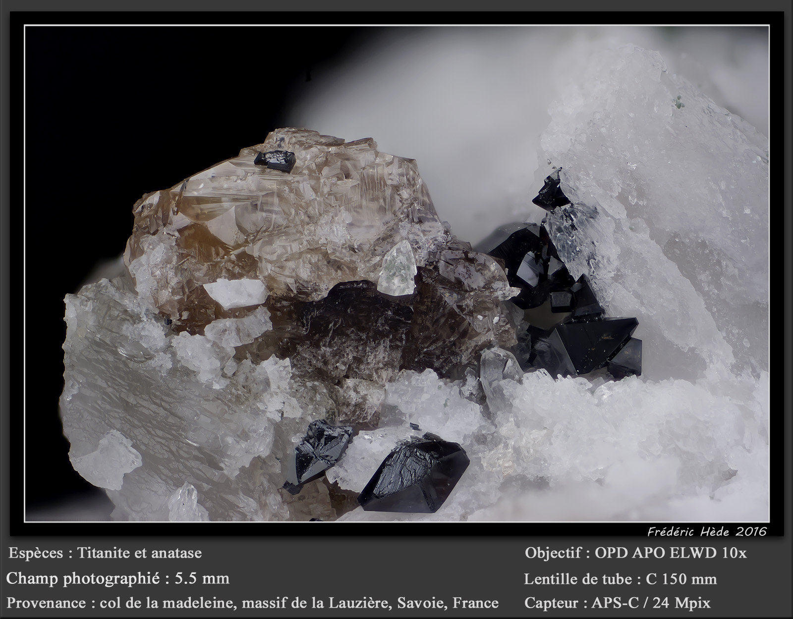 Titanite and Anatase
fov 5.5 mm
(Autor: ploum)