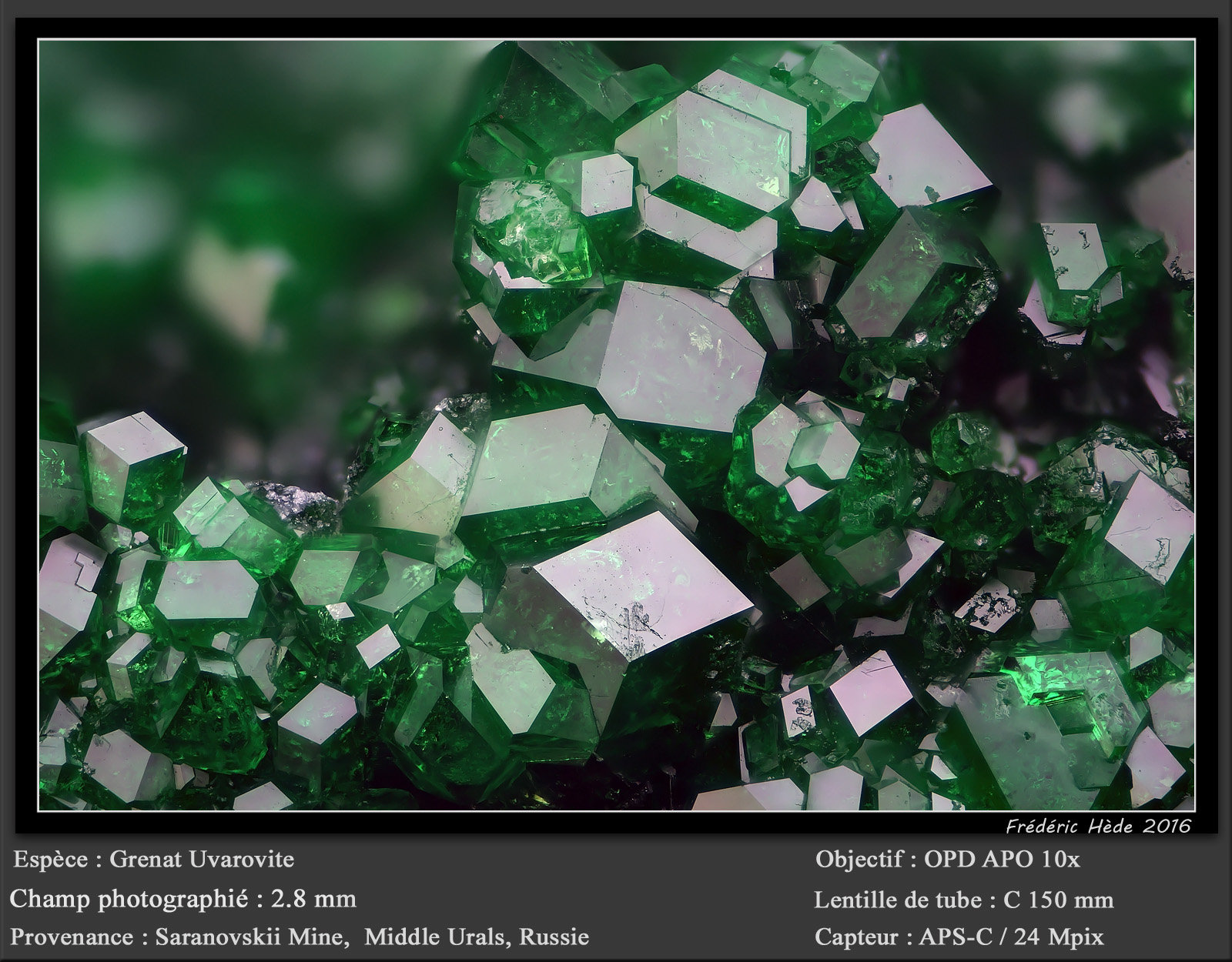 Uvarovite (Garnet Group)
fov 2.8 mm
(Autor: ploum)