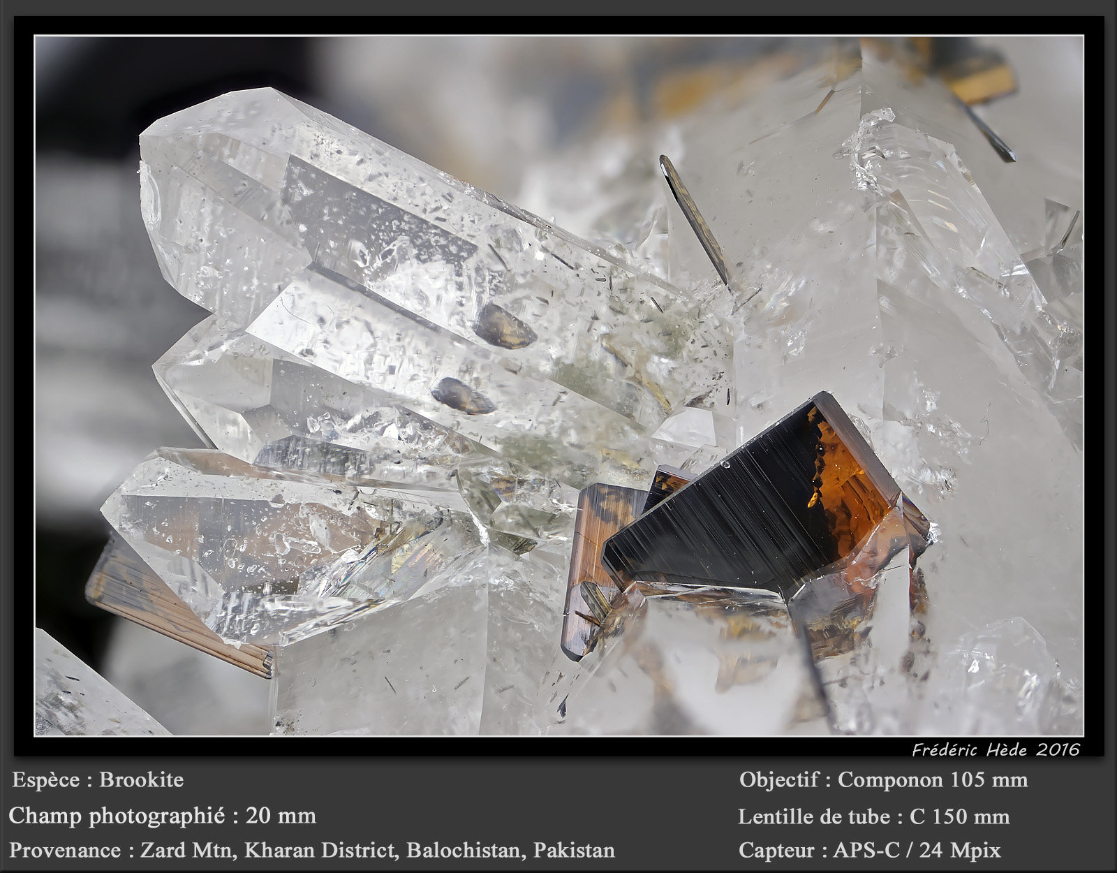Brookite on Quartz
fov 20 mm
(Autor: ploum)