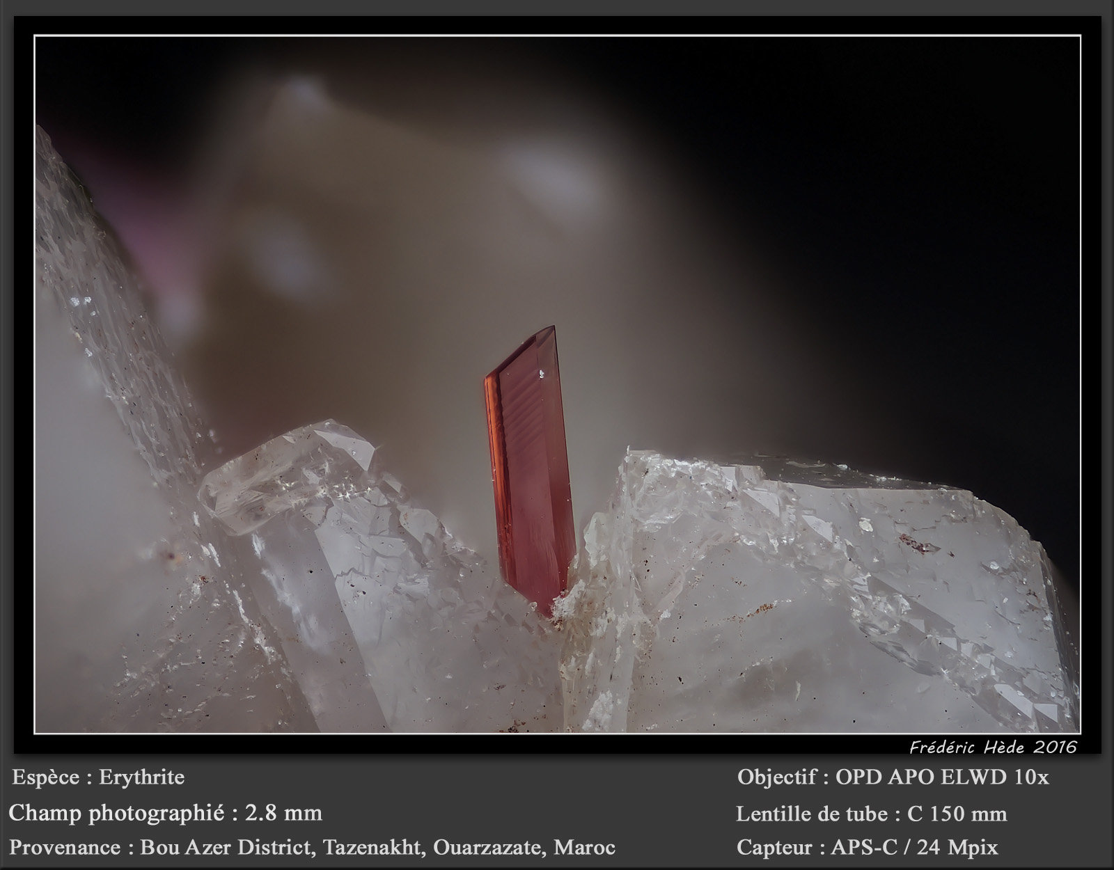 Erythrite on Quartz
fov 2.8 mm
(Autor: ploum)