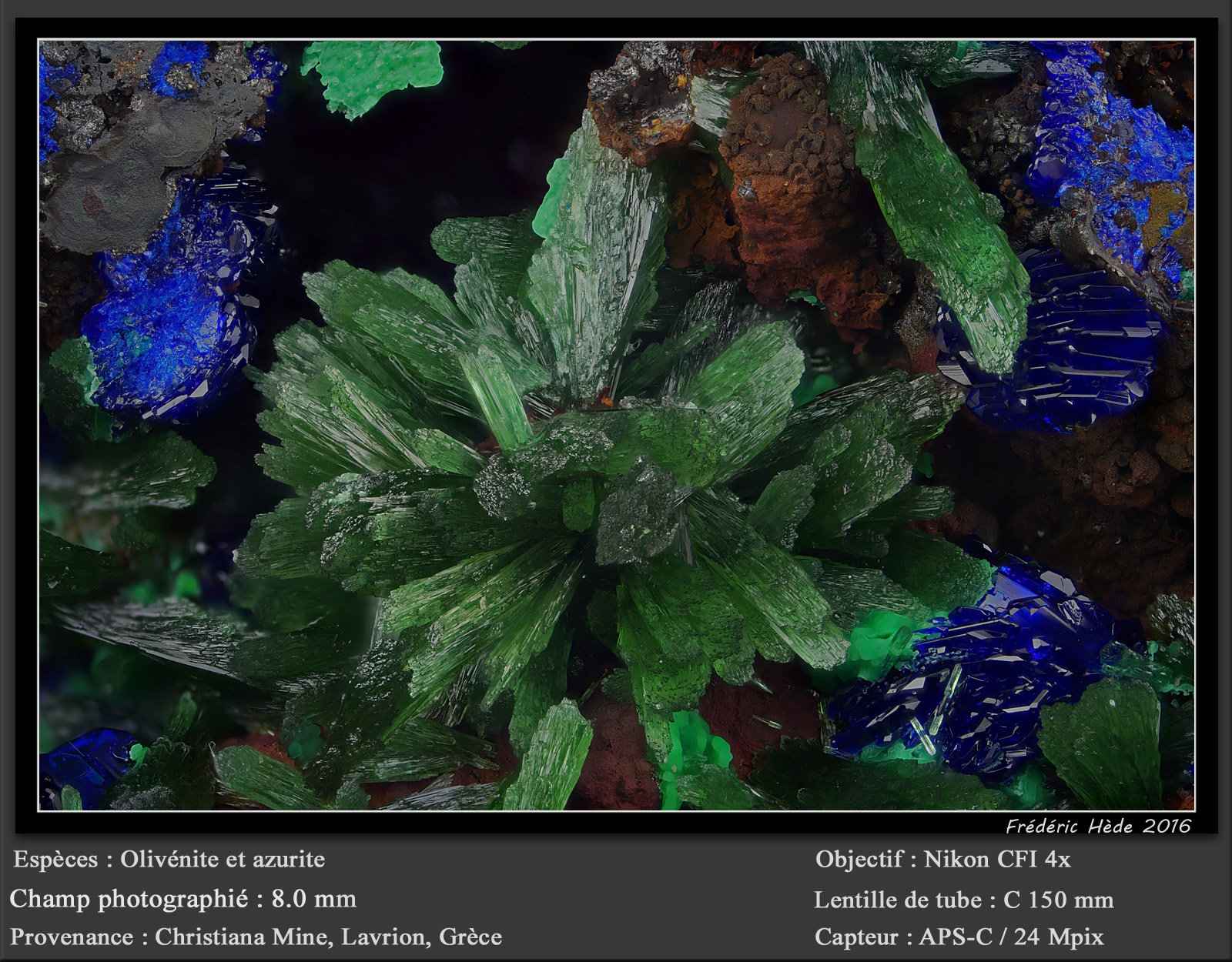 Olivenite and Azurite
fov 8.0 mm
(Autor: ploum)