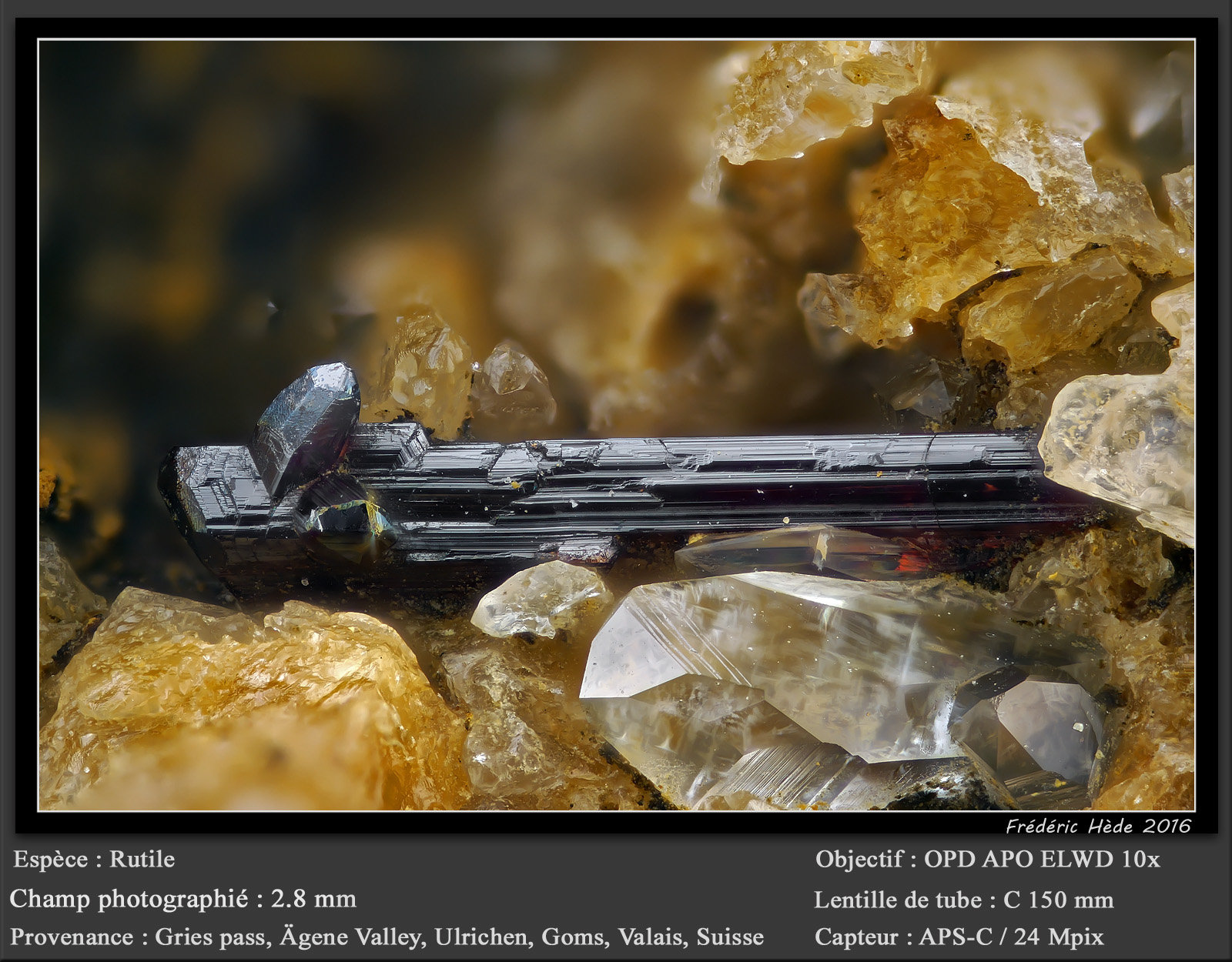 Rutile
fov 2.8 mm
(Autor: ploum)