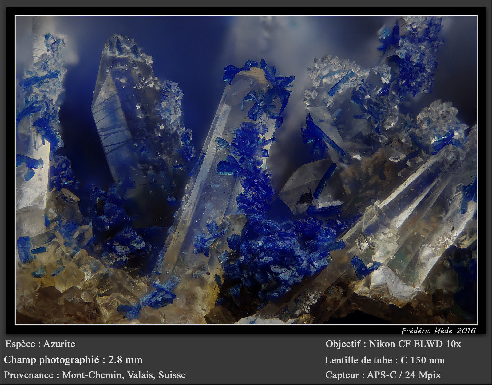 Azurite on Quartz
fov 2.8 mm
(Autor: ploum)