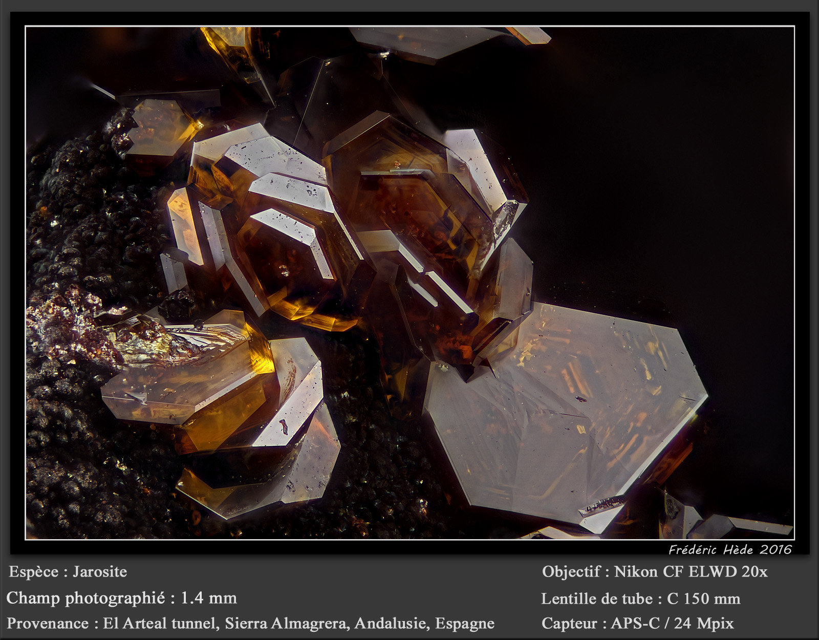 Jarosite
fov 1.4 mm
(Autor: ploum)