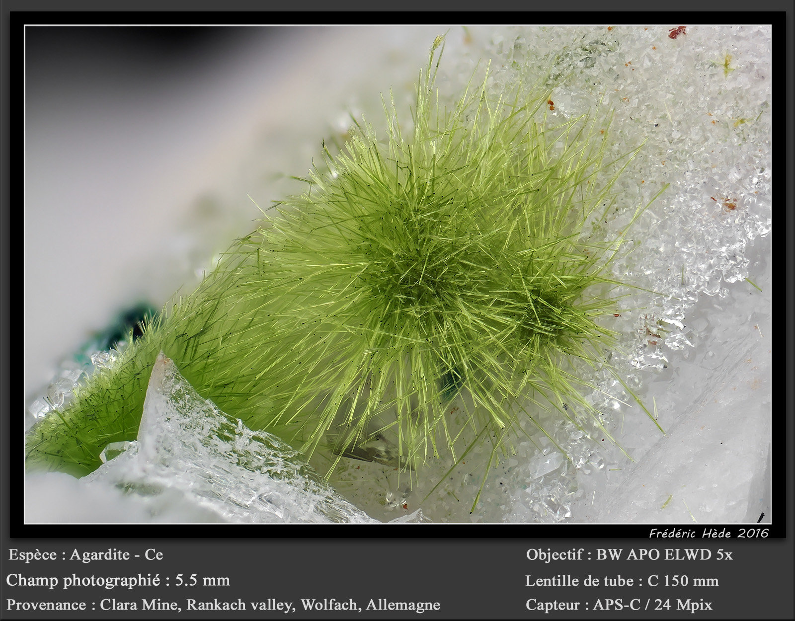 Agardite-(Ce)
fov 5.5 mm
(Autor: ploum)