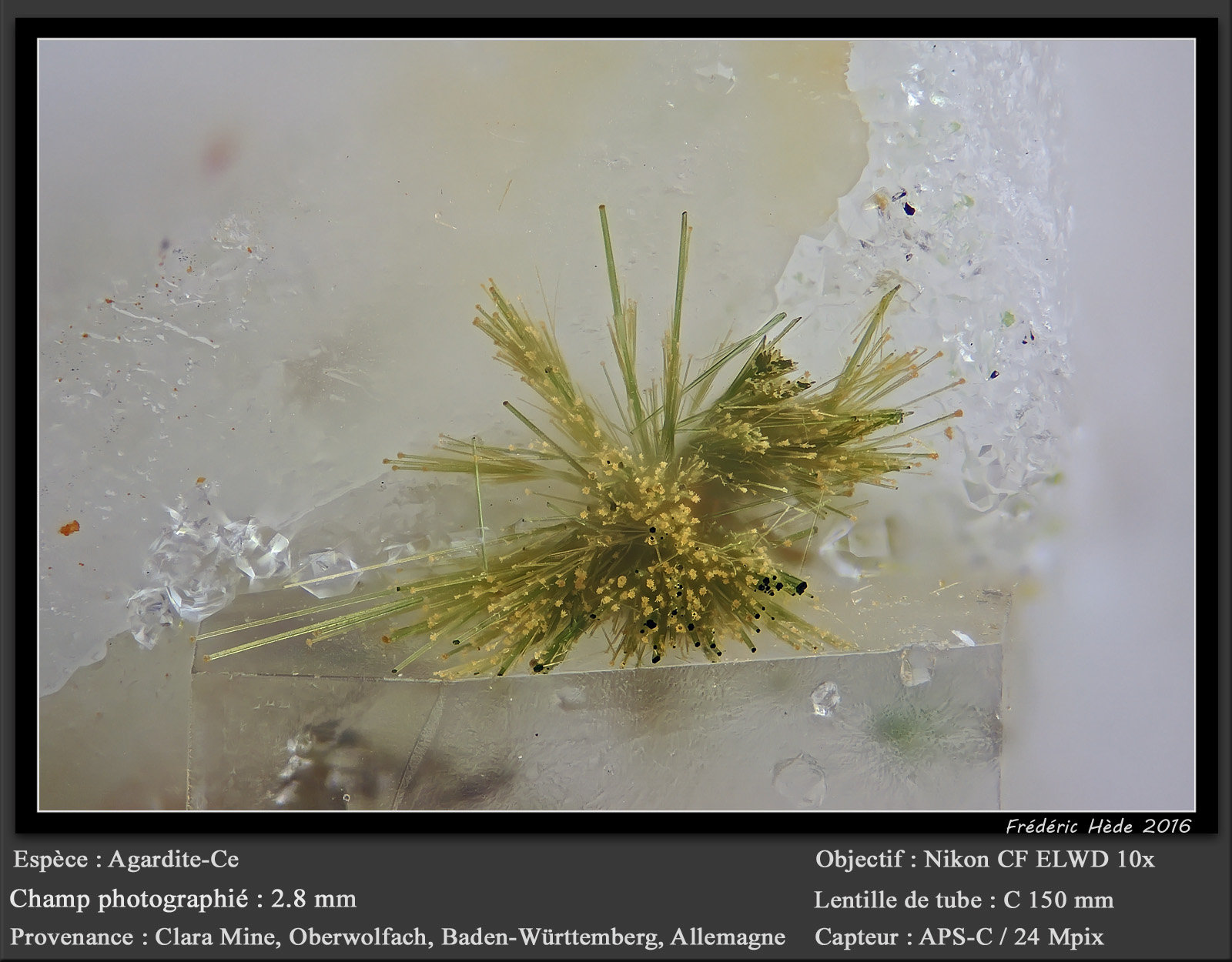 Agardite-(Ce)
fov 2.8 mm
(Autor: ploum)