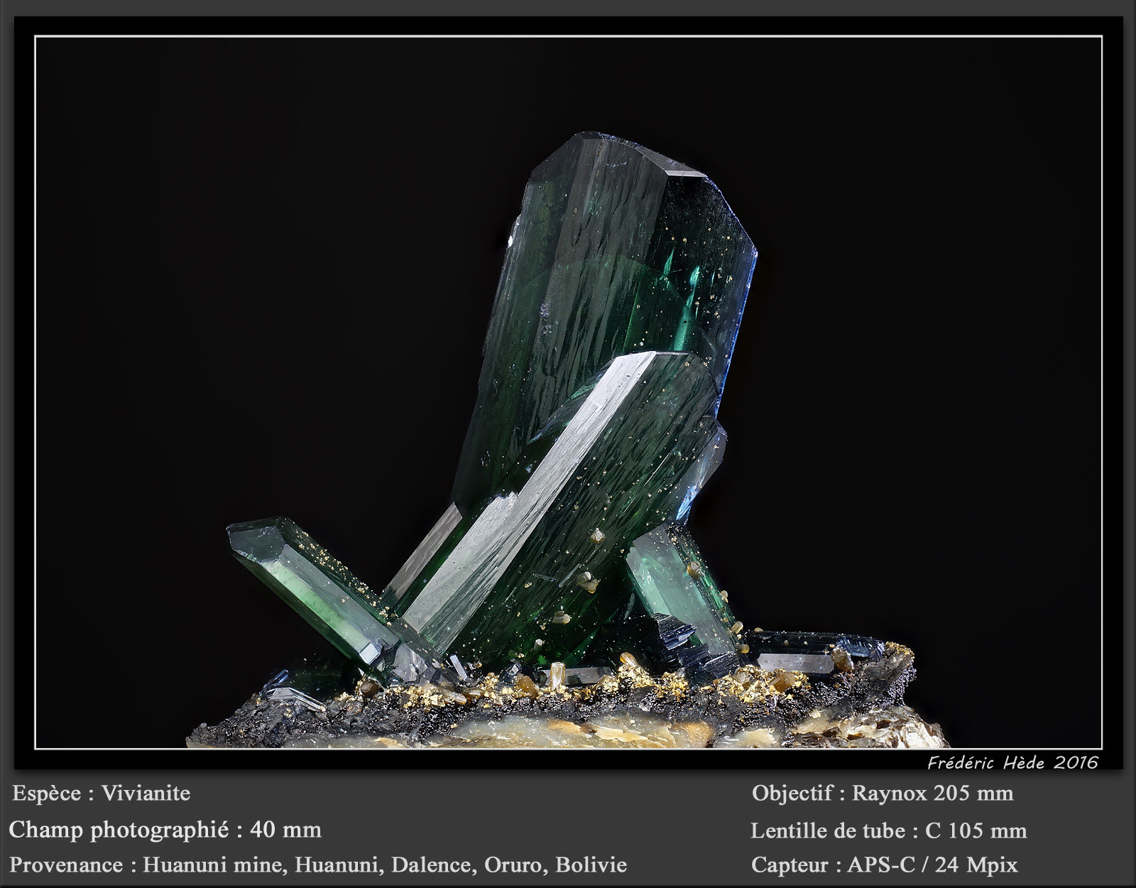 Vivianite
fov 40 mm
(Autor: ploum)
