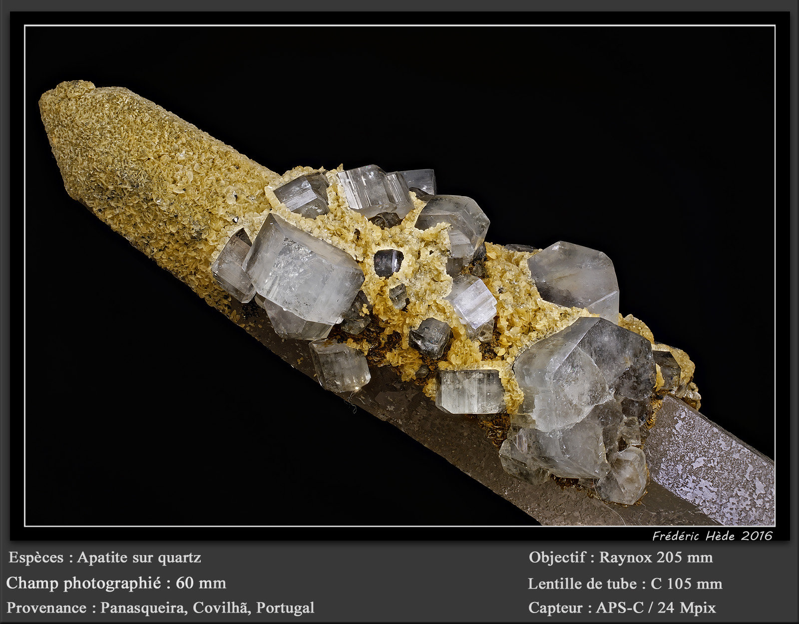 Fluorapatite on Quartz with Siderite
fov 60 mm
(Autor: ploum)