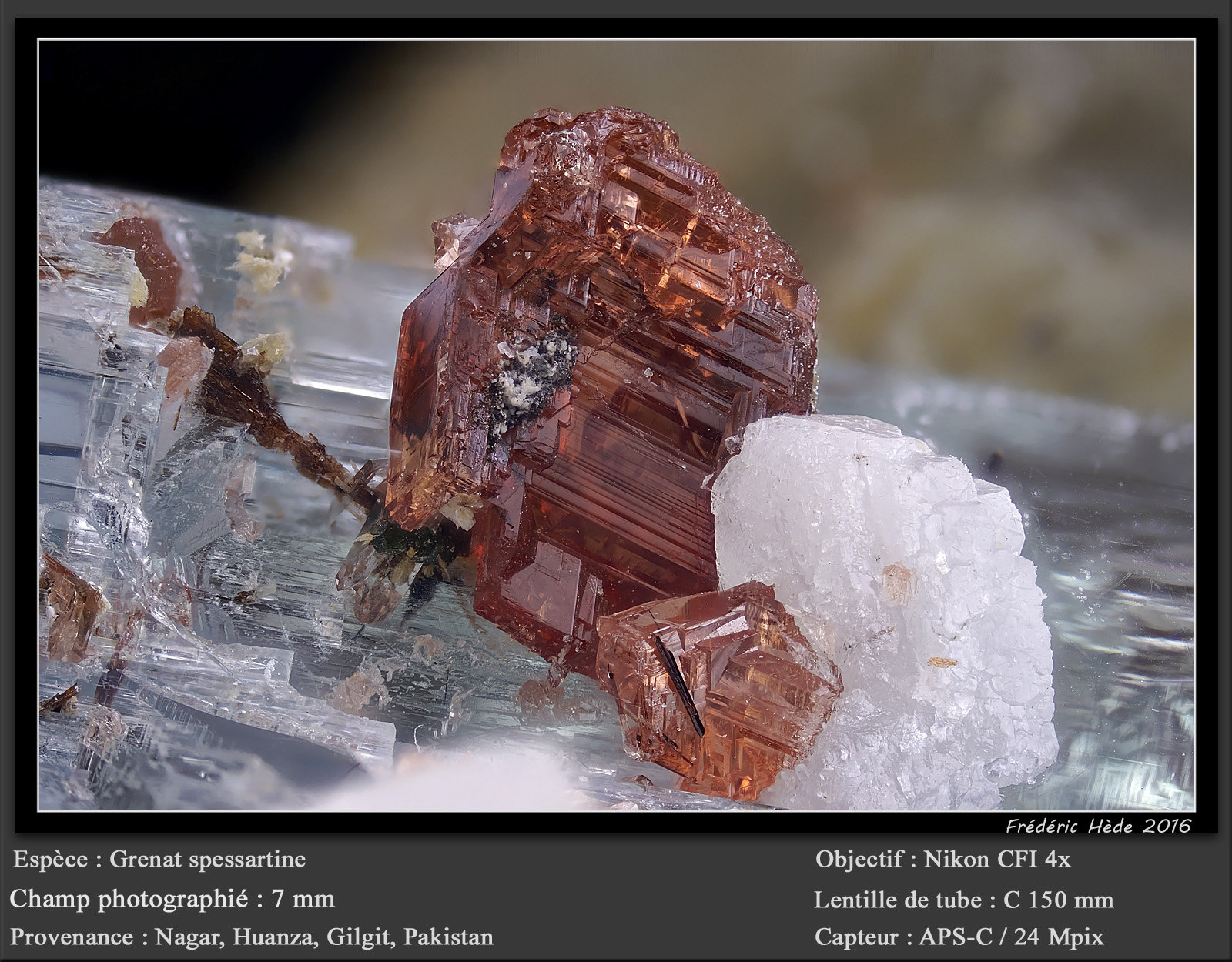 Spessartine (Garnet Group)
fov 7 mm
(Autor: ploum)