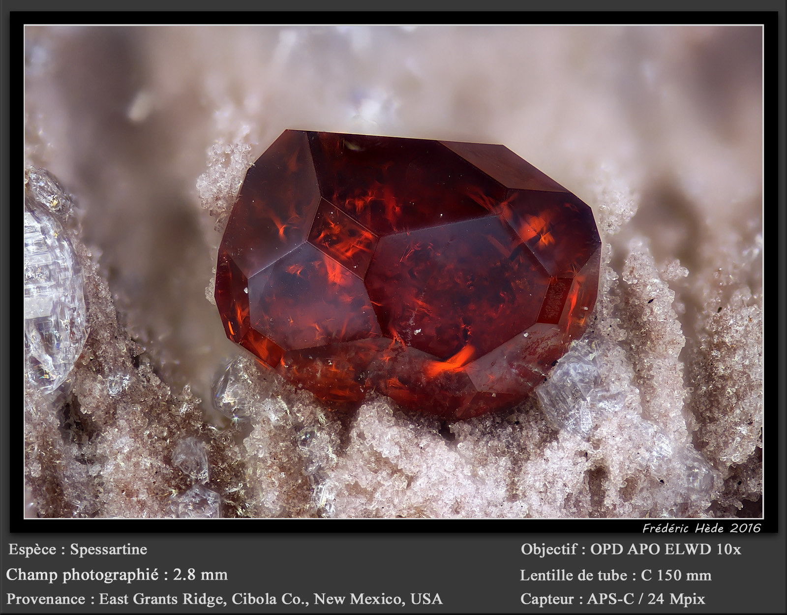 Spessartine (Garnet Group)
fov 2.8 mm
(Autor: ploum)