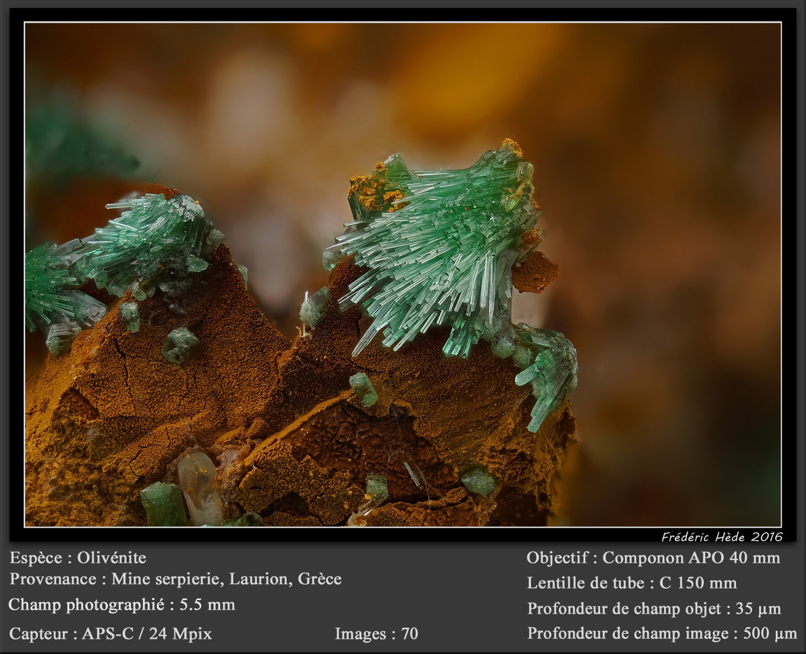 Olivenite
fov 5.5 mm
(Autor: ploum)