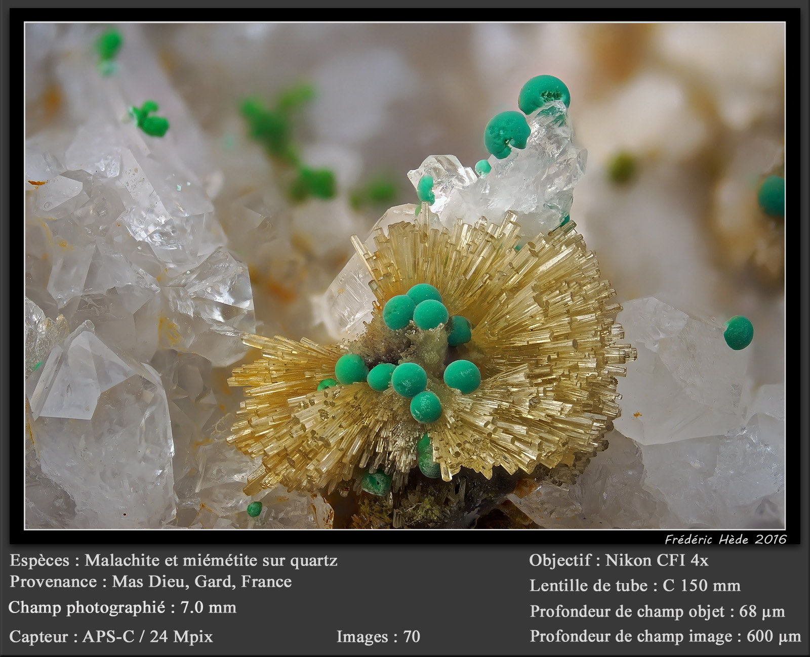 Mimetite and Malachite on Quartz
fov 7 mm
(Autor: ploum)
