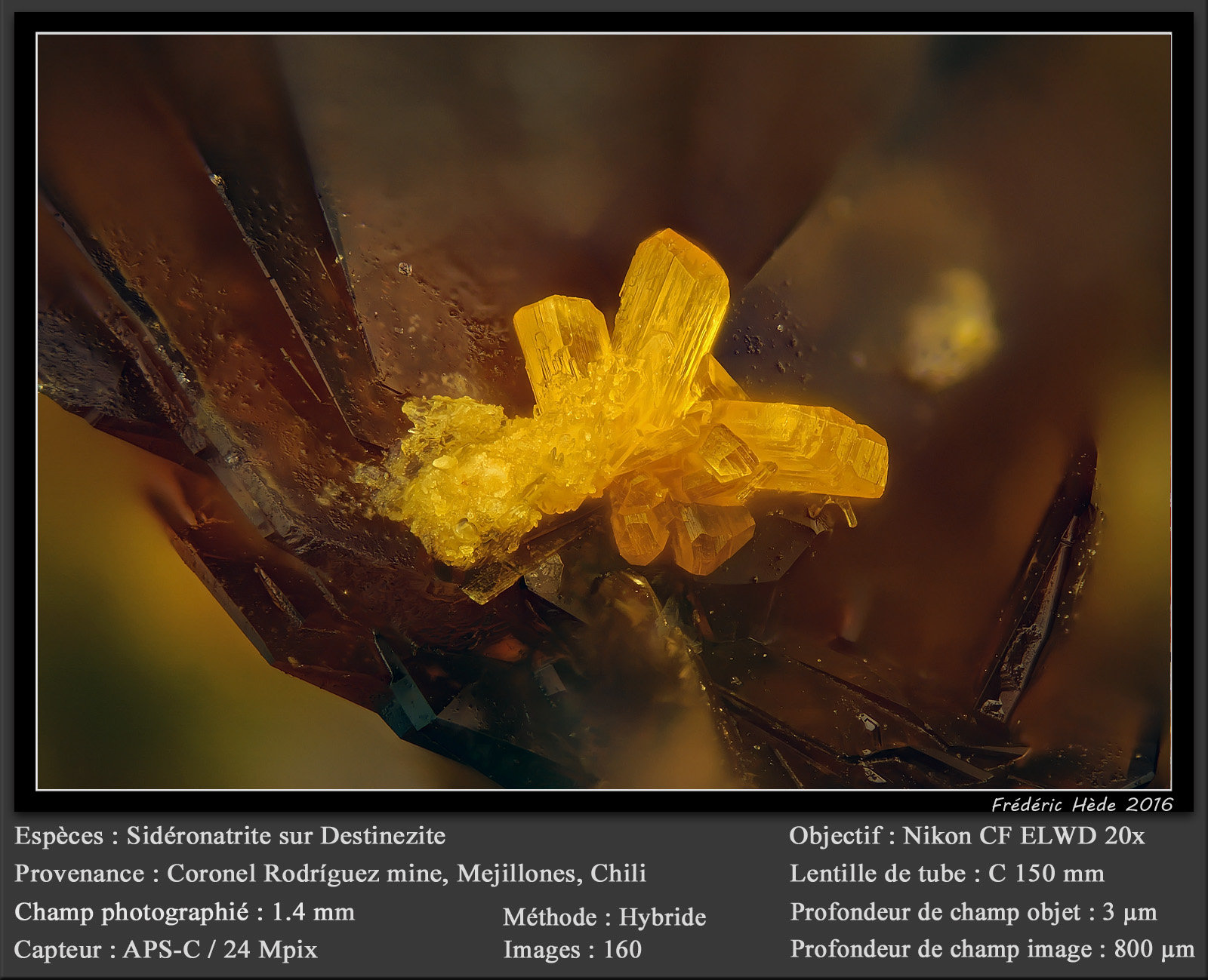 Sideronatrite and Destinezite
fov 1.4 mm
(Autor: ploum)