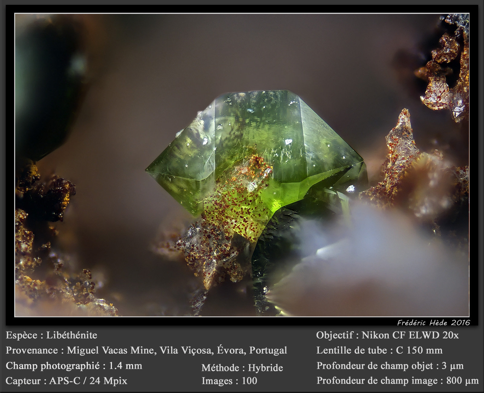 Libethenite
fov 1.4 mm
(Autor: ploum)