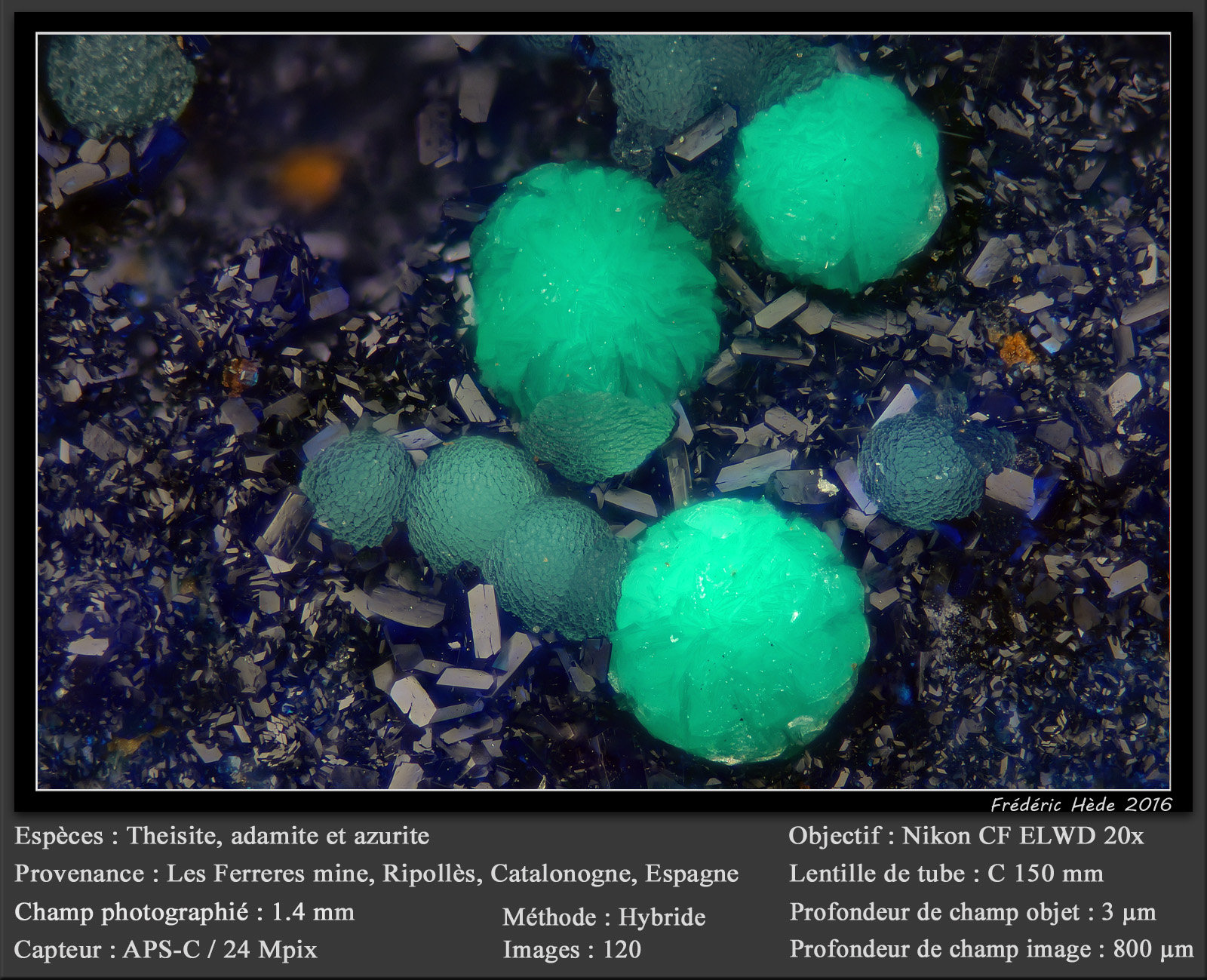 Theisite, Adamite and Azurite
fov 1.4 mm
(Autor: ploum)