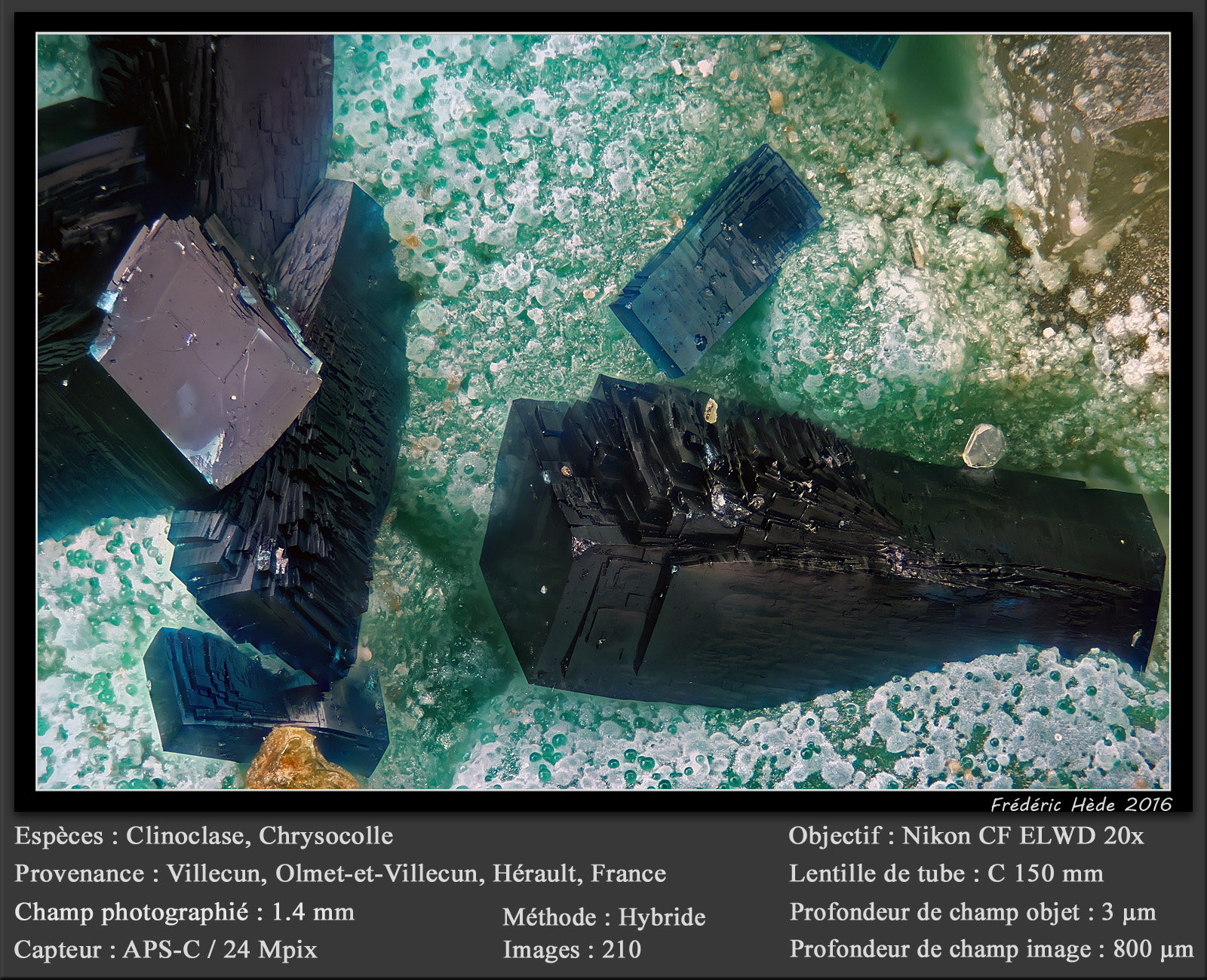 Clinoclase on Chrysocolla
fov 1.4 mm
(Autor: ploum)