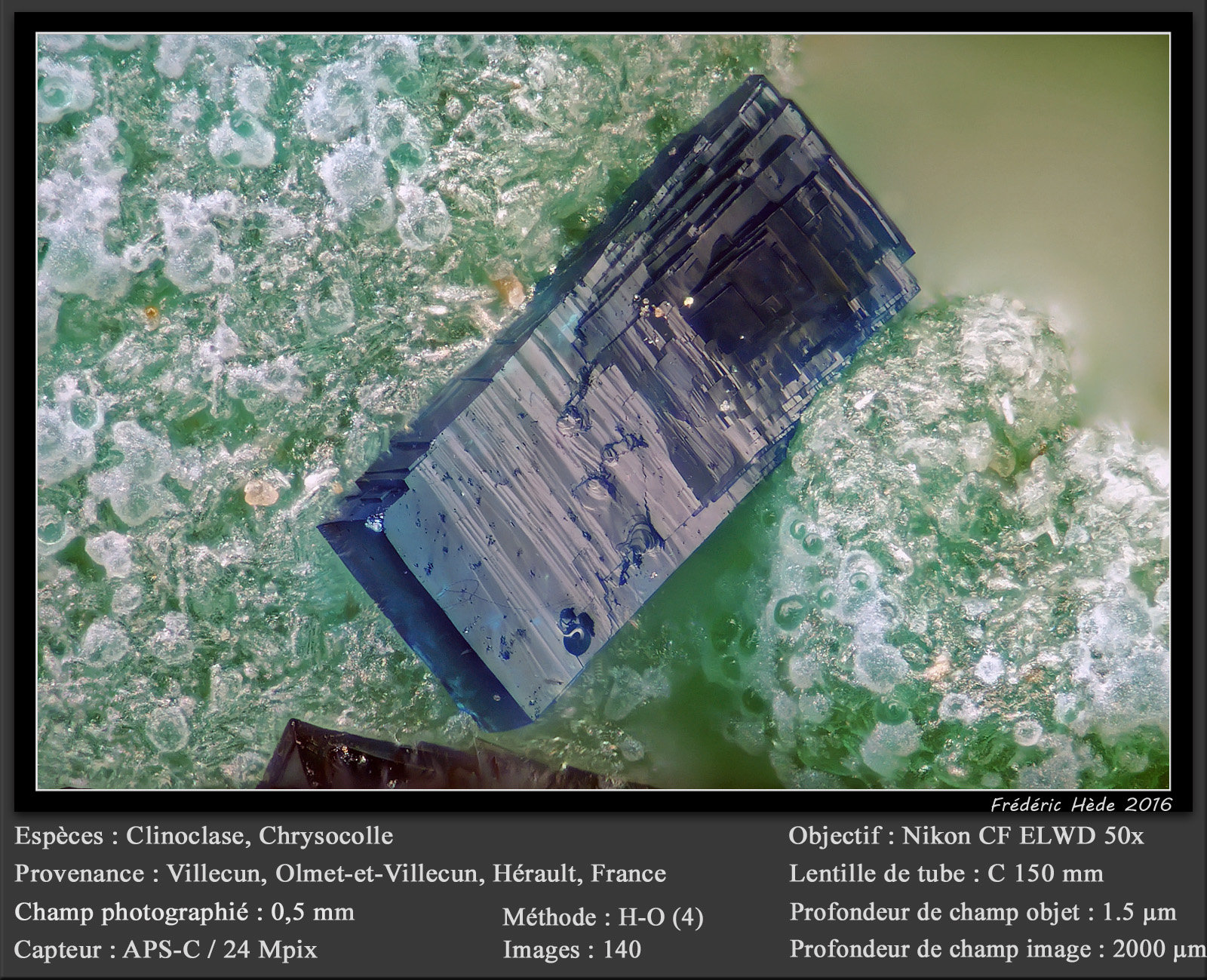 Clinoclase on Chrysocolla
fov 0.5 mm
(Autor: ploum)