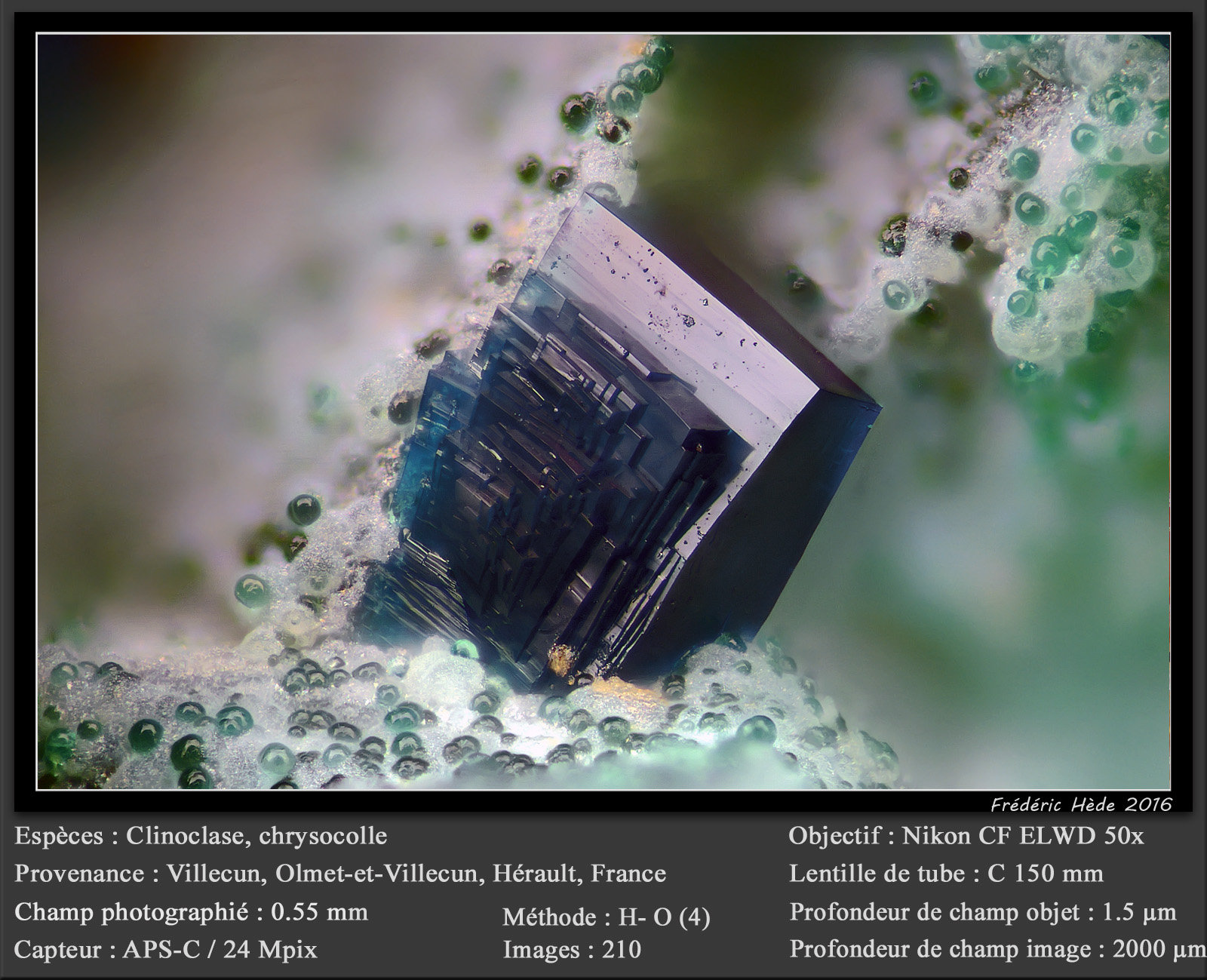 Clinoclase on Chrysocolla
fov 0.55 mm
(Autor: ploum)