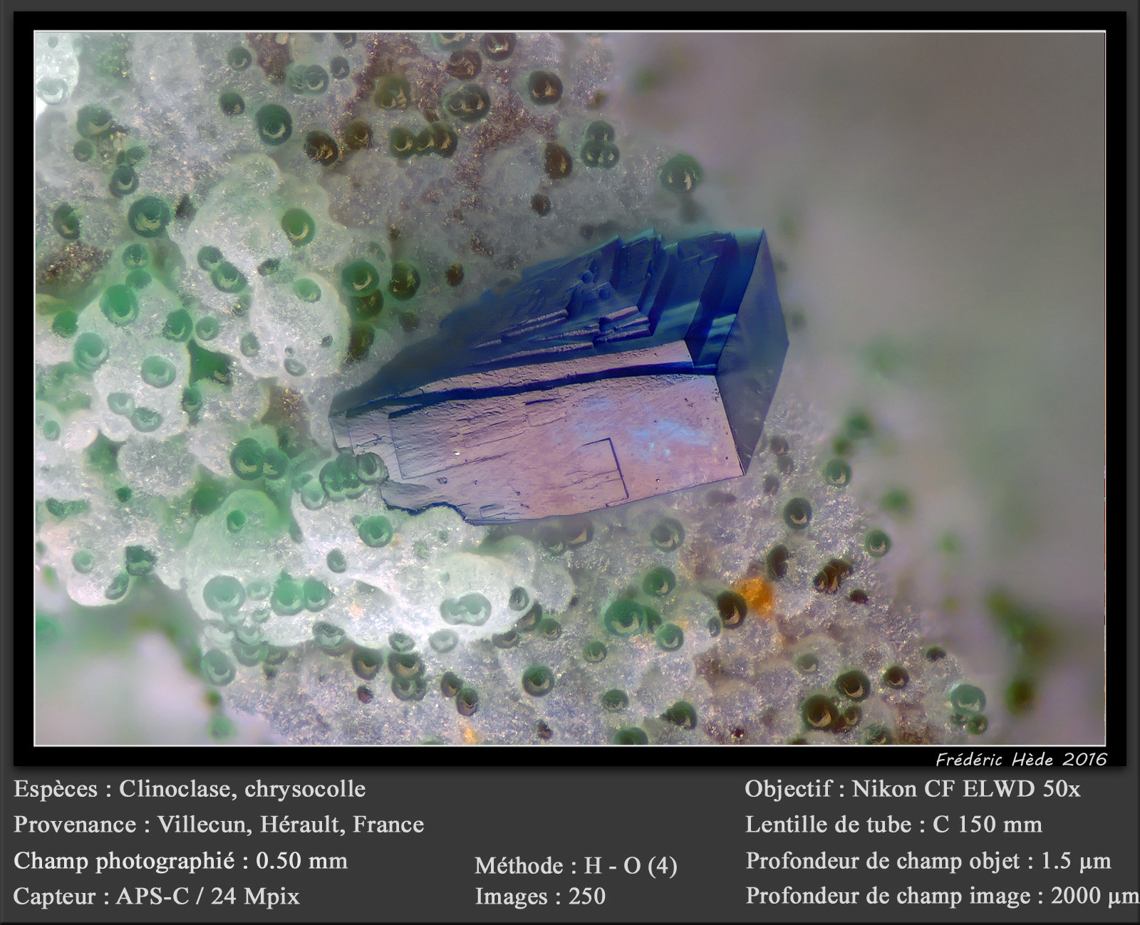 Clinoclase and Chrysocolla
fov 0.5 mm
(Autor: ploum)
