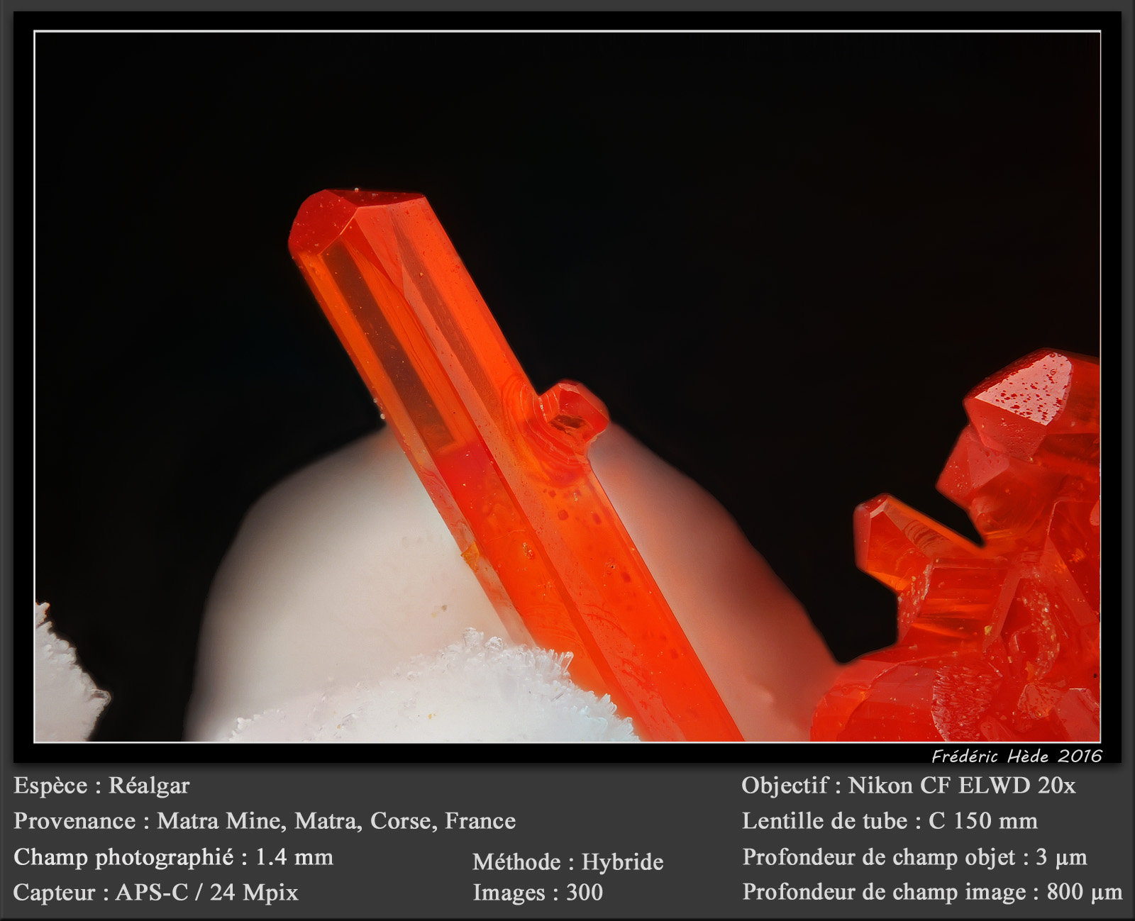 Realgar
fov 1.4 mm
(Autor: ploum)