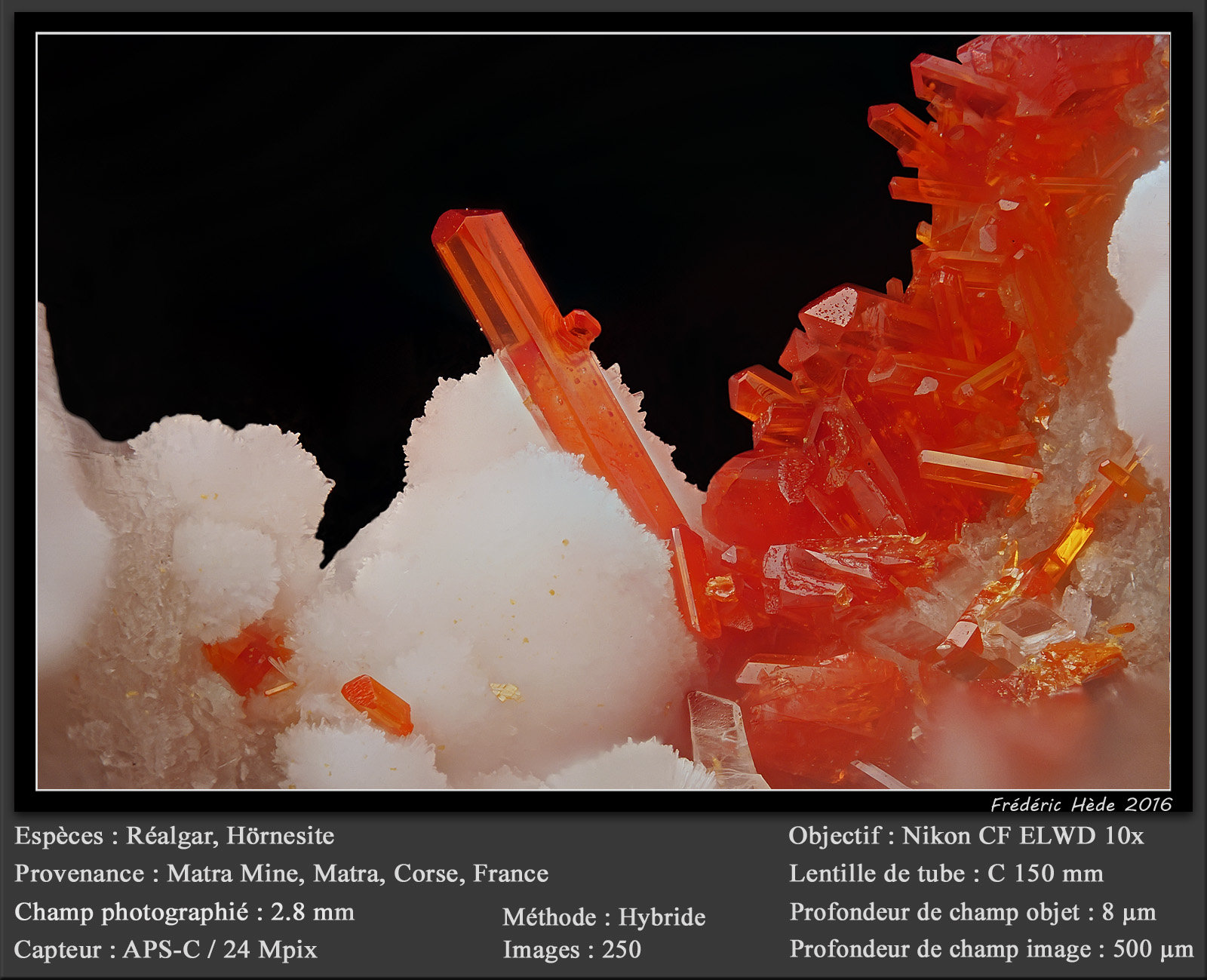 Realgar and Hörnesite
fov 2.8 mm
(Autor: ploum)