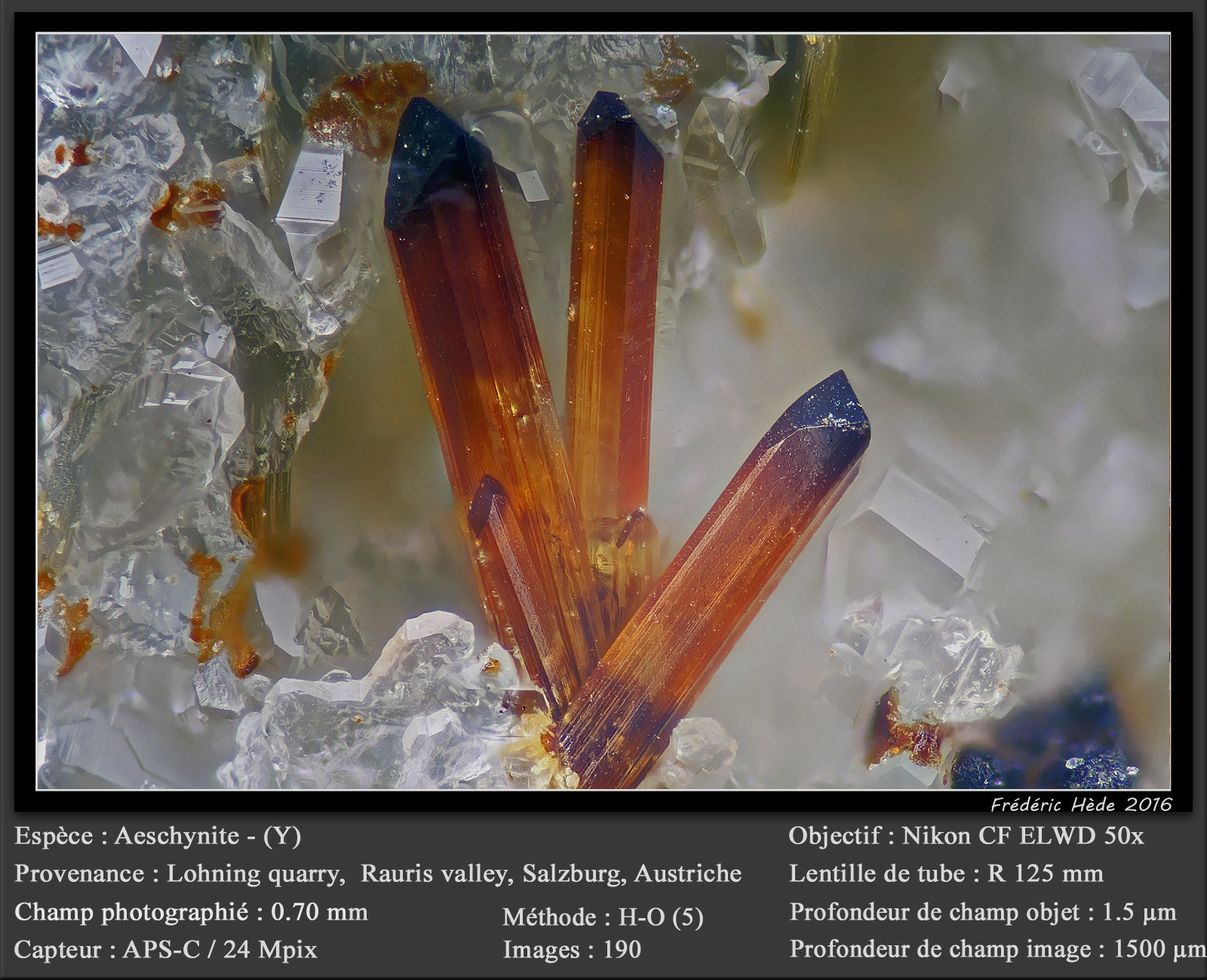 Aeschynite-(Y)
fov 0.70 mm
(Autor: ploum)