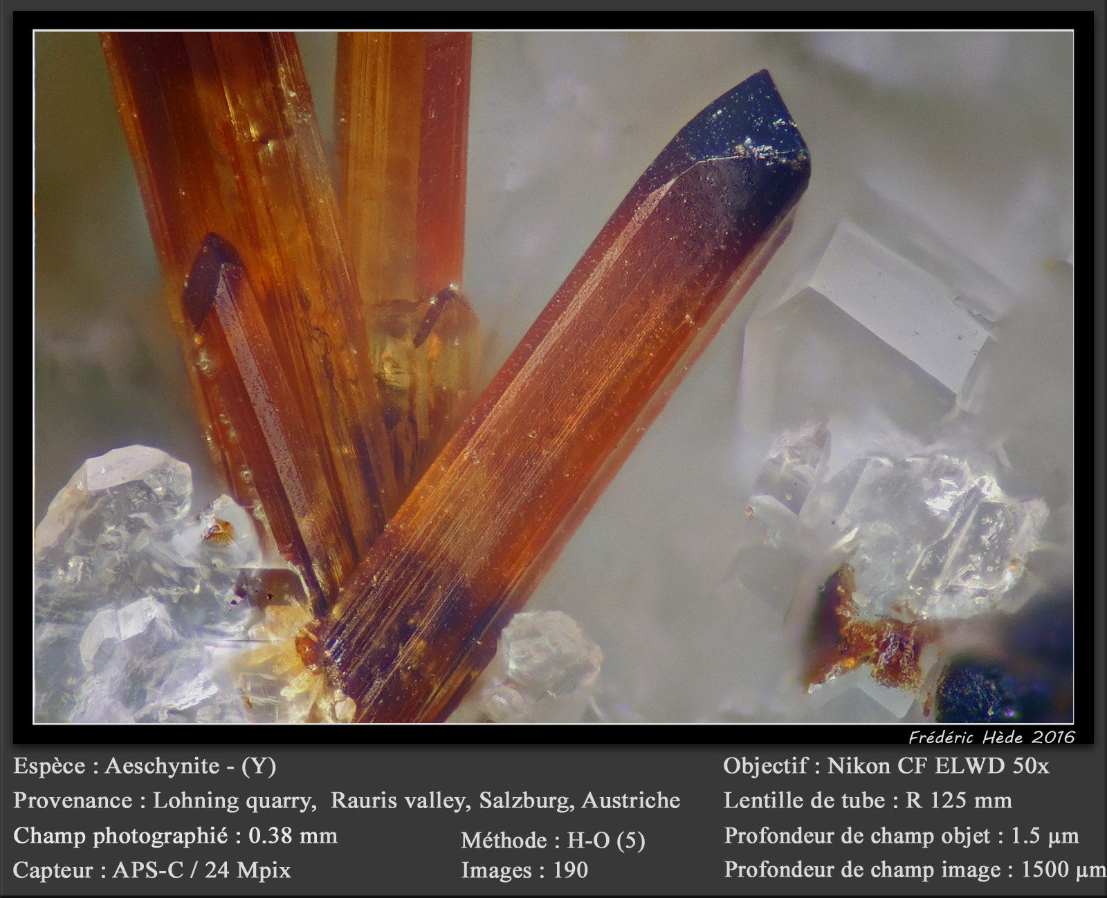 Aeschynite-(Y)
fov 0.38 mm
(Autor: ploum)