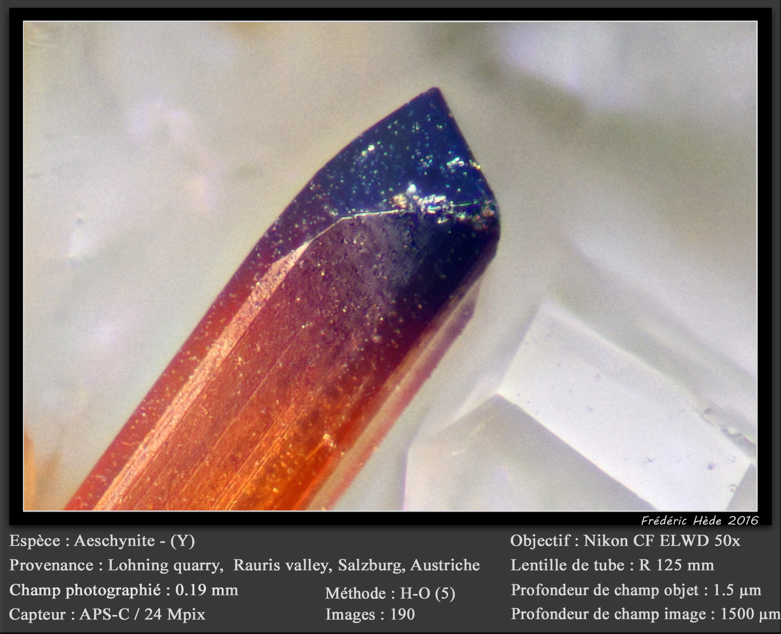 Aeschynite-(Y)
fov 0.19 mm
(Autor: ploum)