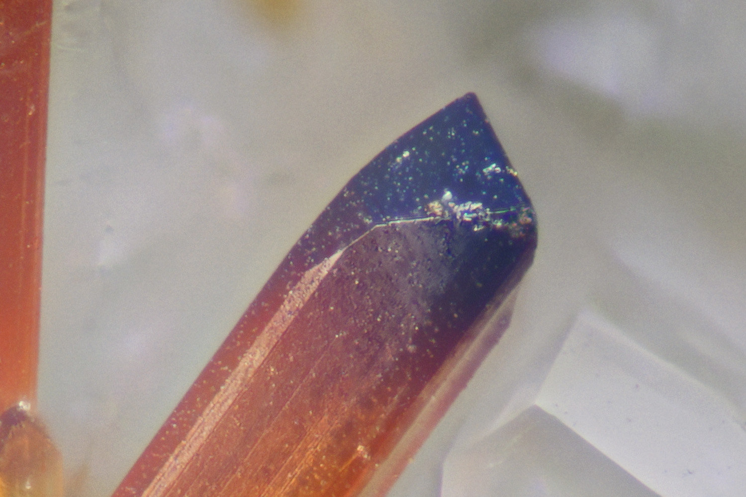 Aeschynite-(Y)
fov 0.19 mm
(Autor: ploum)